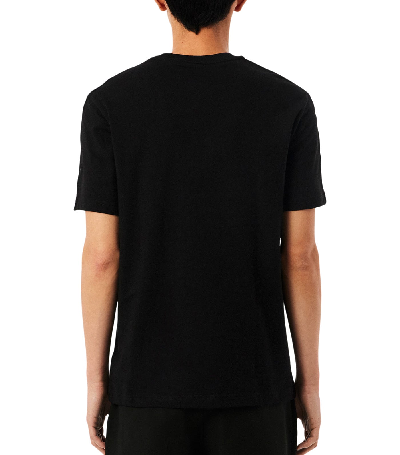 Lacoste Branded Stripe Band T-Shirt Black