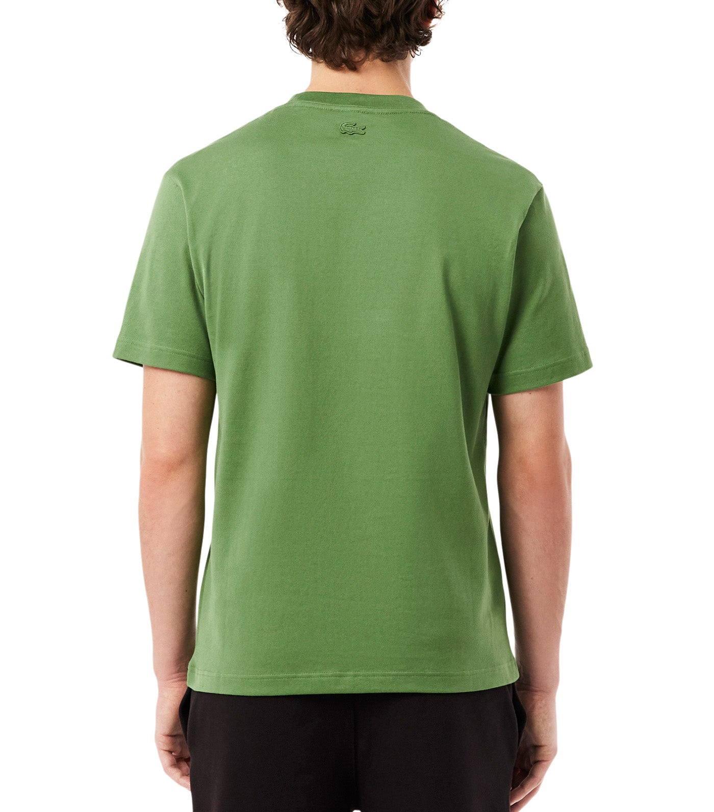Lacoste Embroidered Heavy Jersey T-Shirt Lamb's Lettuce