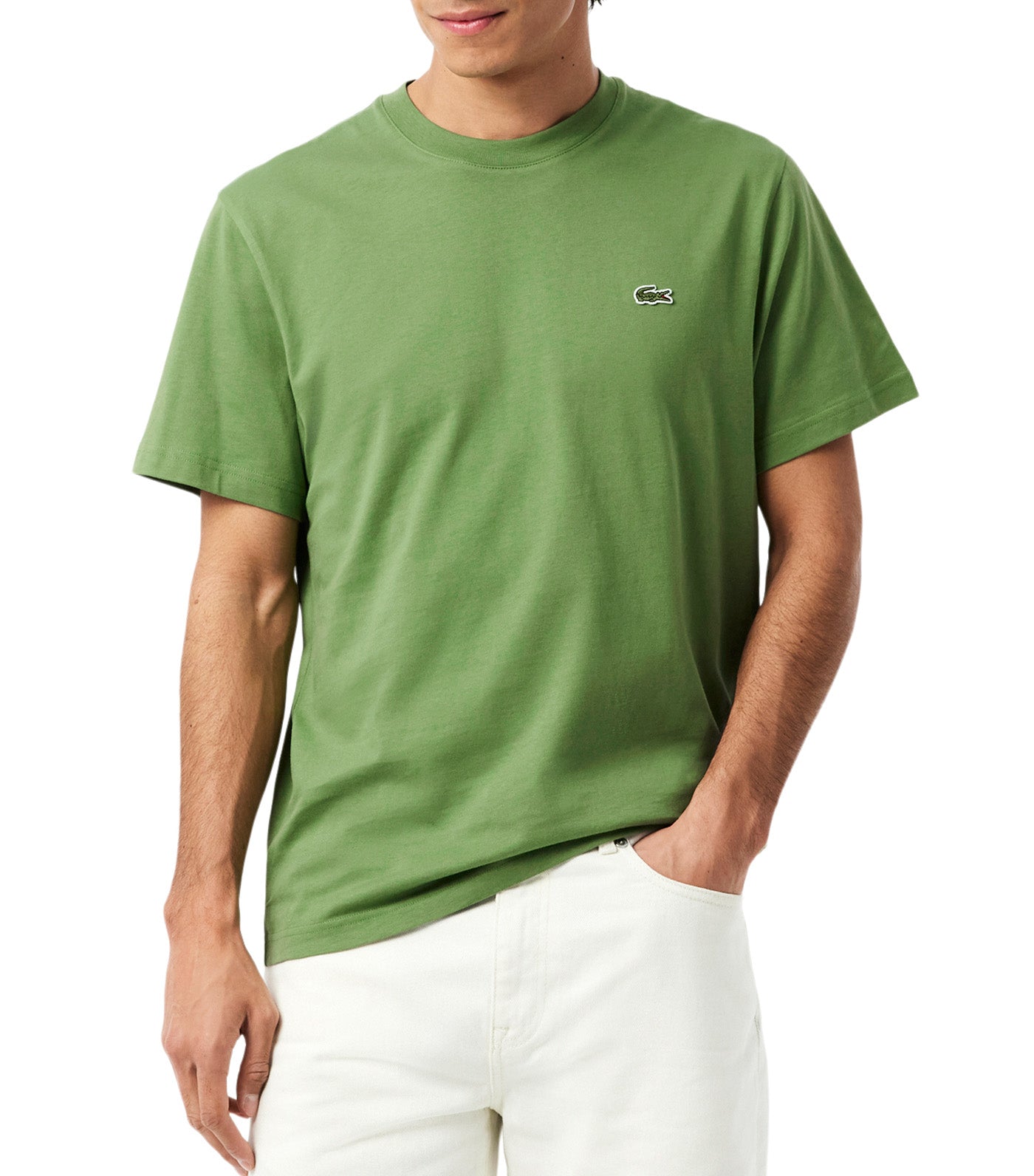 Lacoste Classic Fit Cotton Jersey T-Shirt Lamb's Lettuce