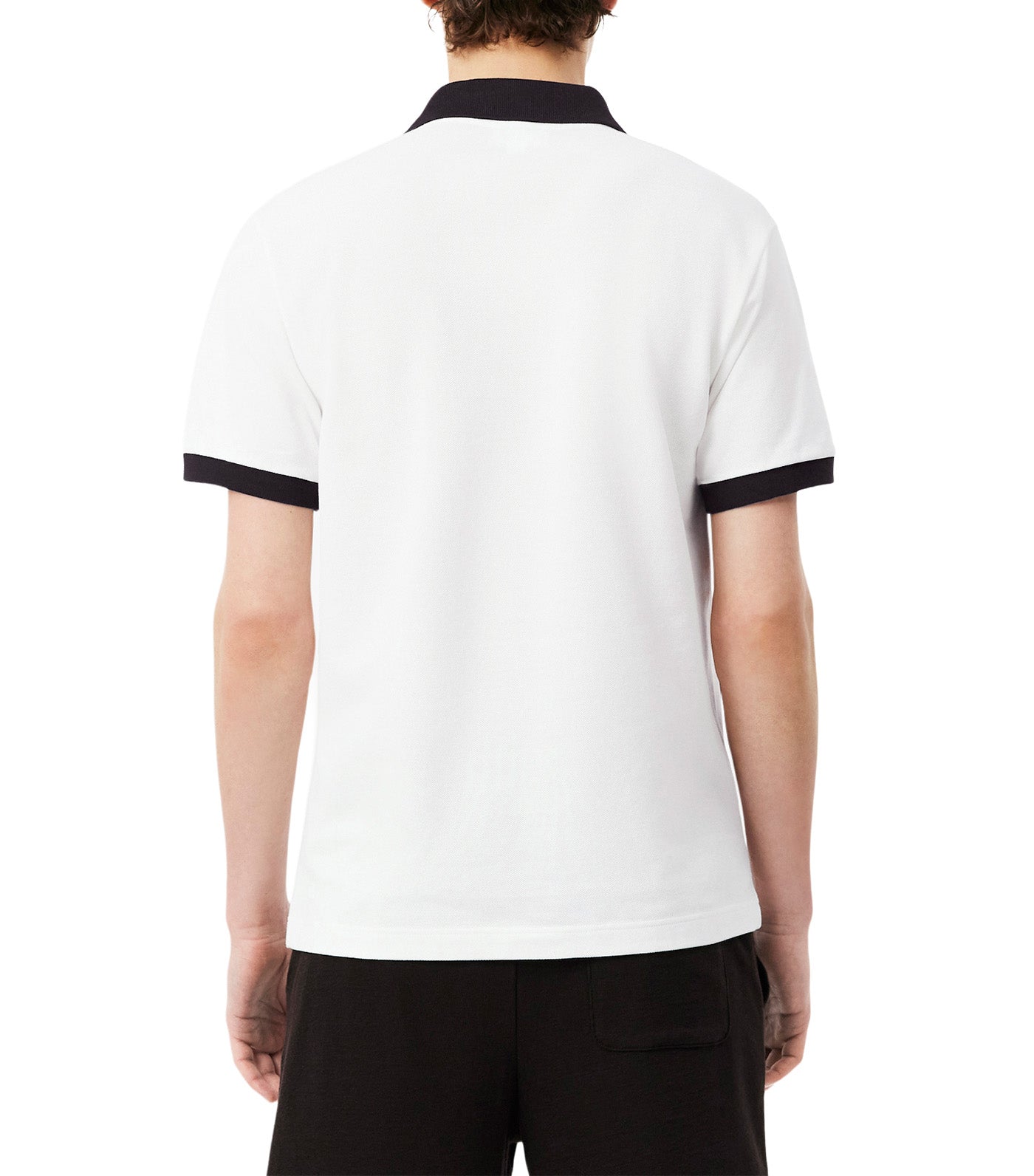 Classic Fit Contrast Rib Polo Shirt Flour/Buffalo