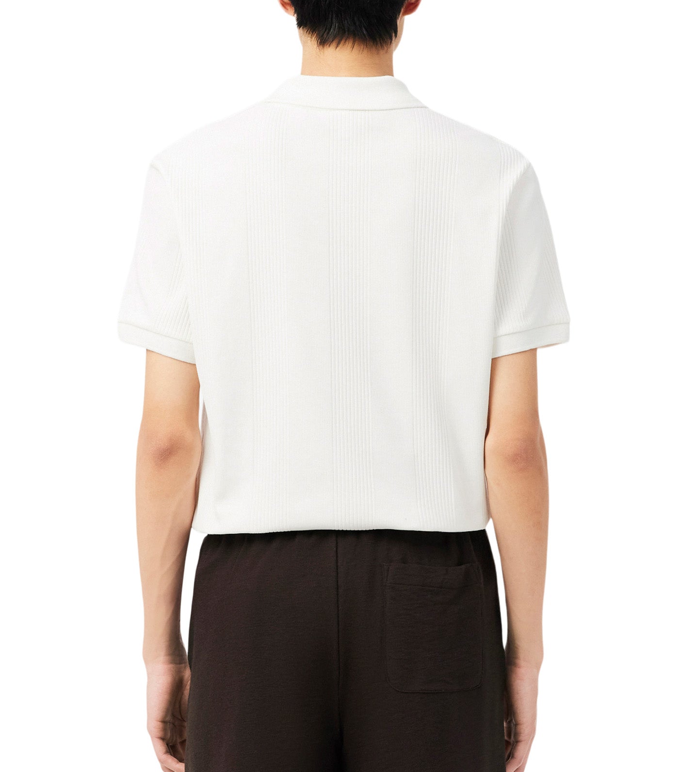 Classic Fit Ribbed Knit Polo Shirt Flour