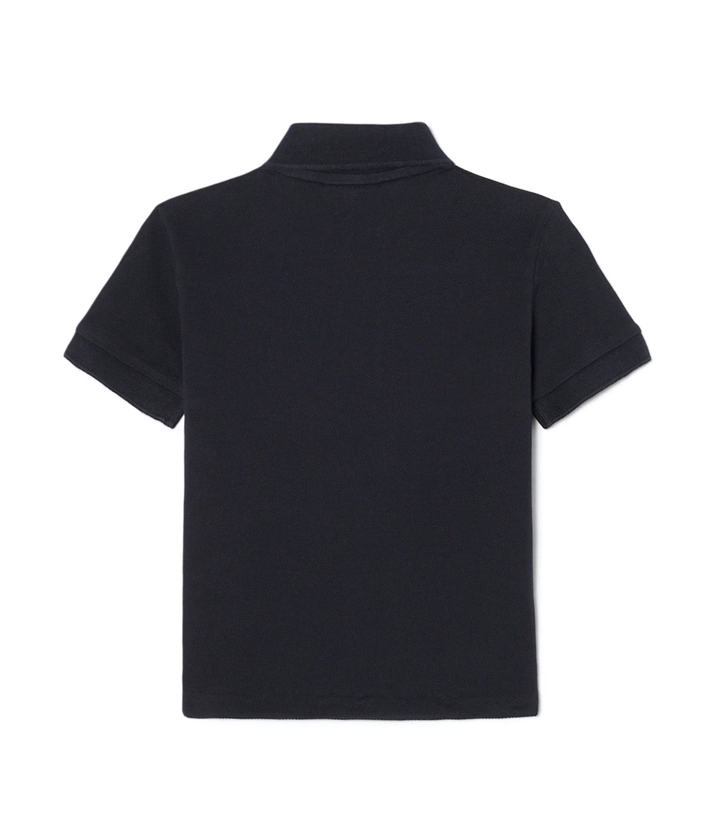 Colorblock Petit Piqué Polo Shirt Blackbird