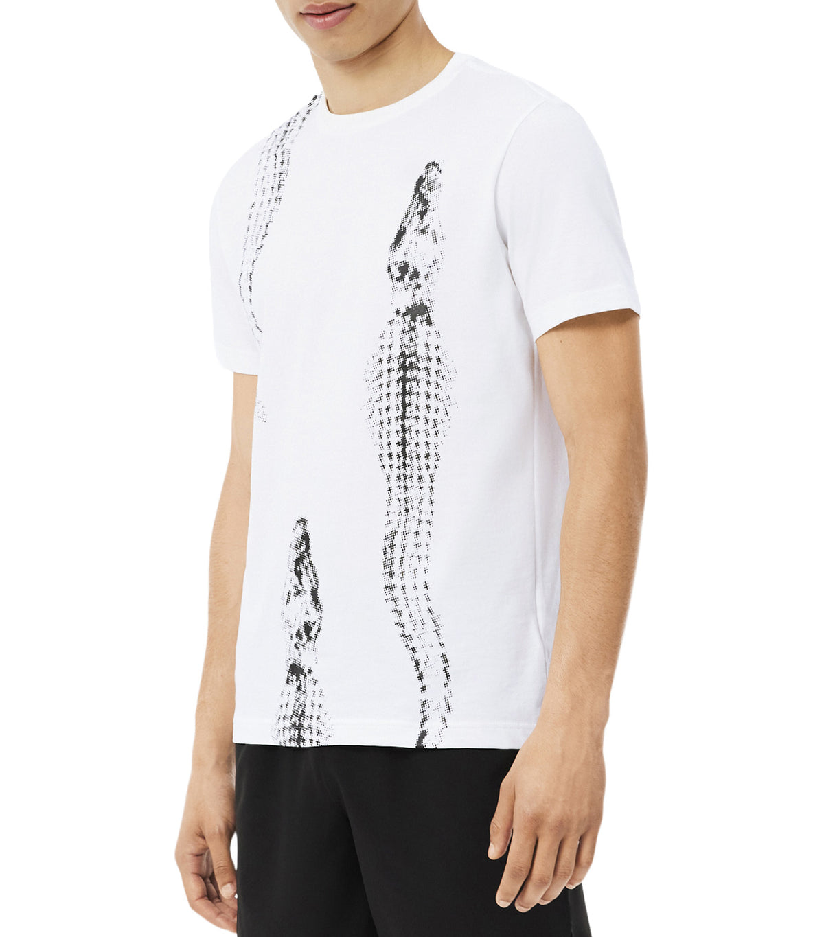 Lacoste Tennis x Daniil Medvedev Graphic T-Shirt White