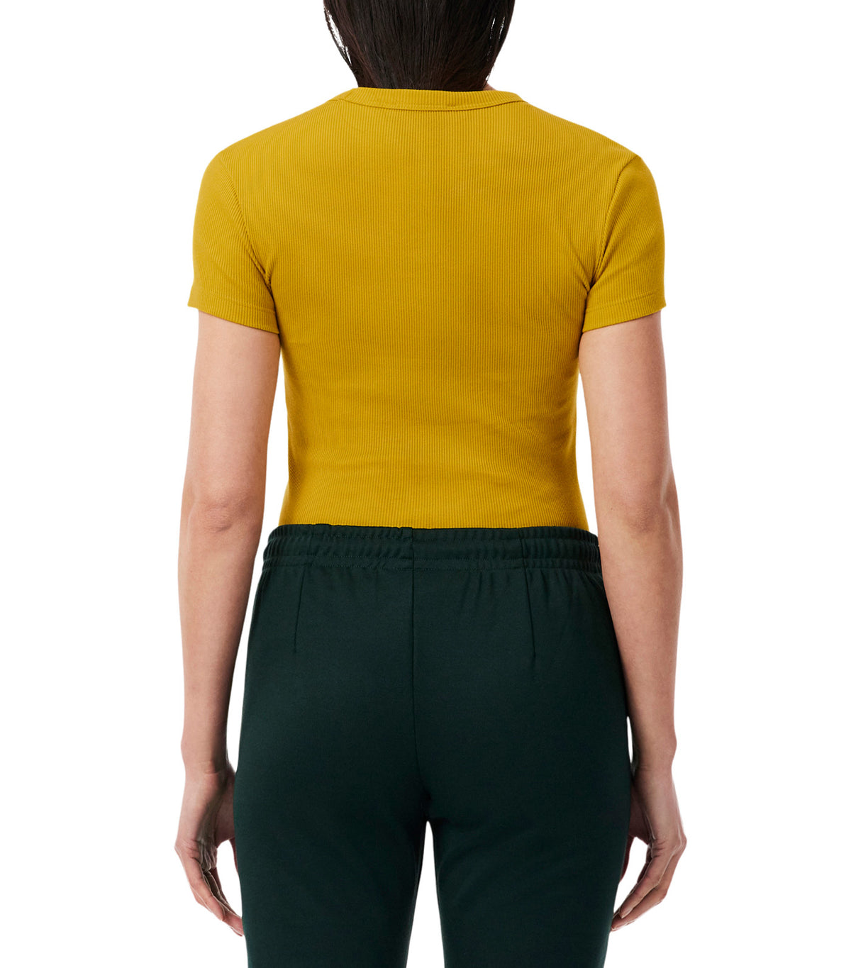 Slim Fit Organic Cotton T-Shirt Honey