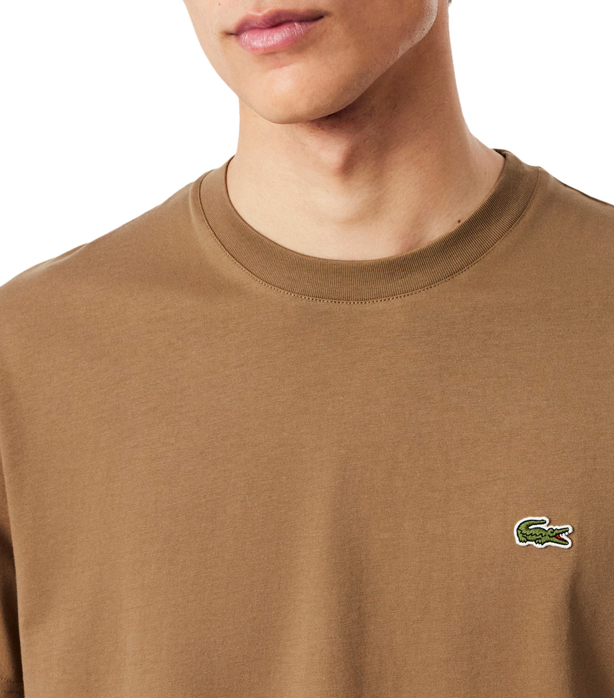 Classic Fit Cotton Jersey T-Shirt Cookie