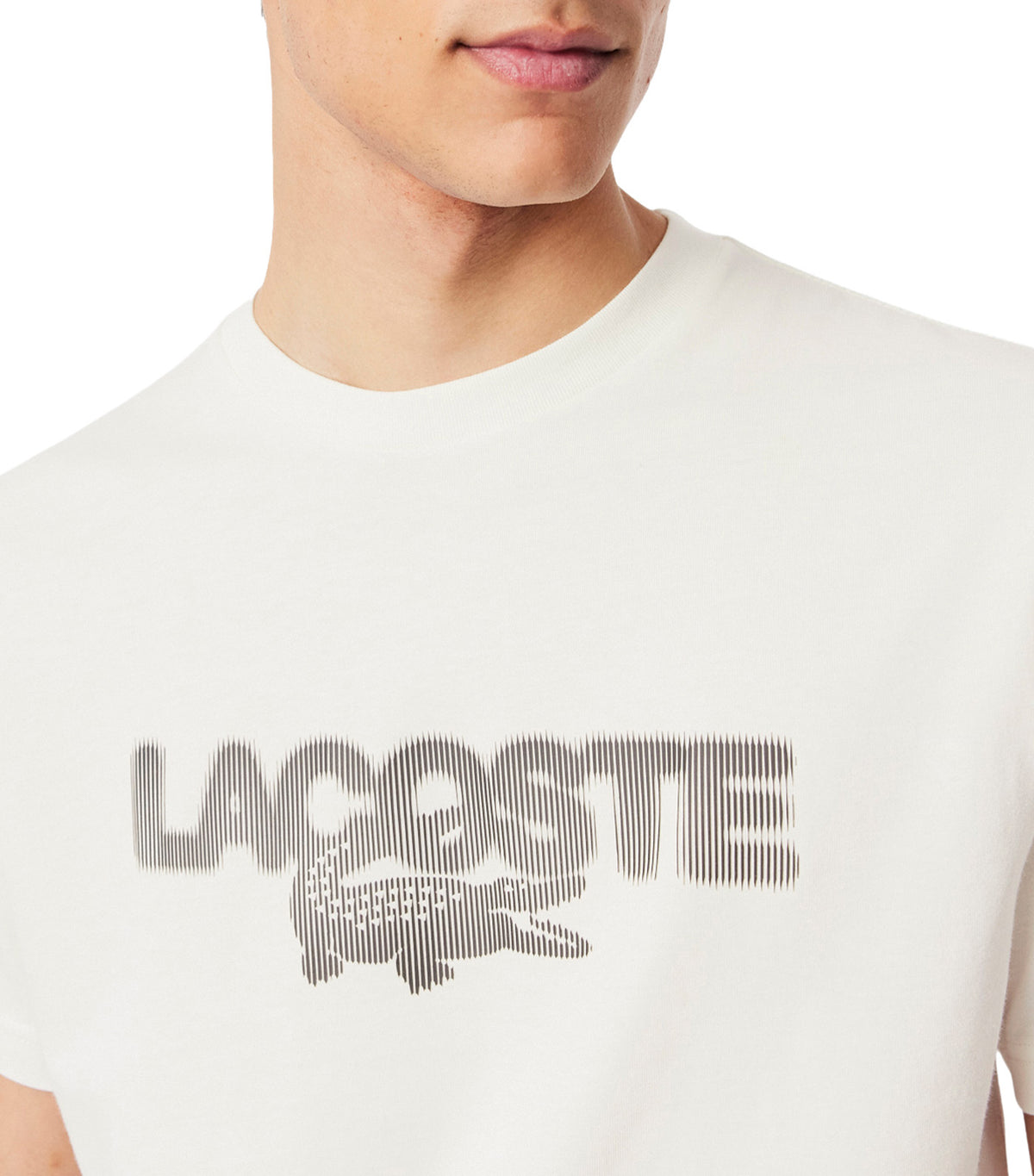 Printed Cotton Jersey T-Shirt Flour