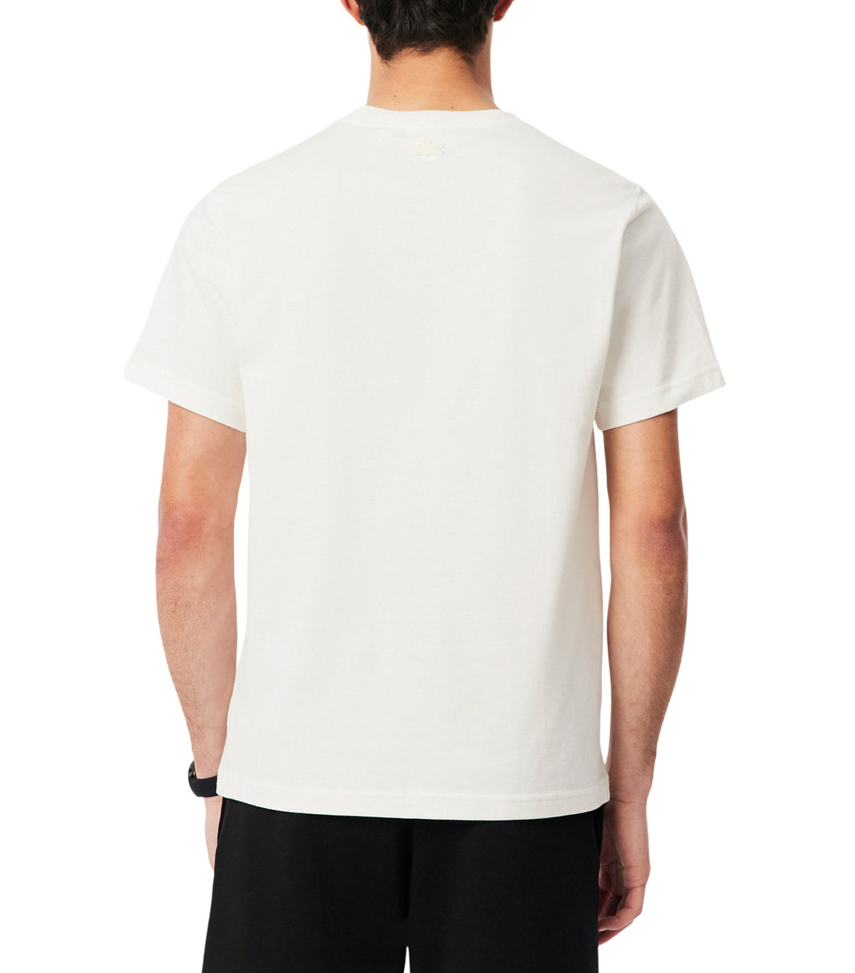 Printed Cotton Jersey T-Shirt Flour