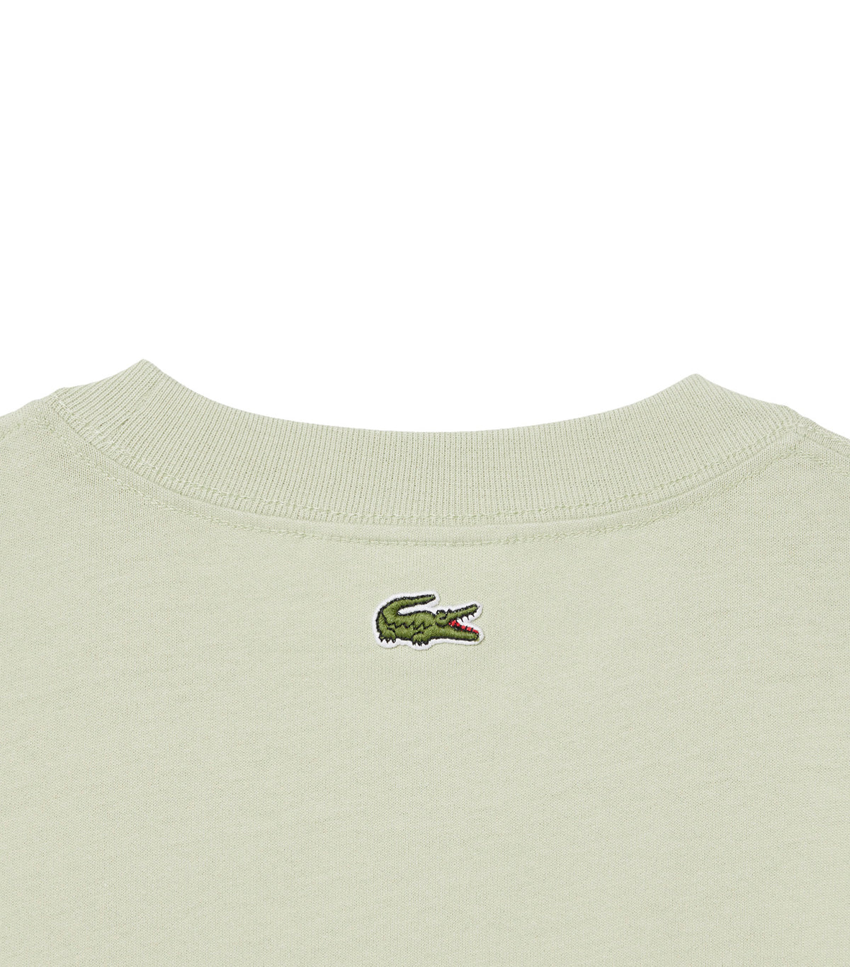 Heavy Cotton Jersey Embroidery Accent T-Shirt Light Green