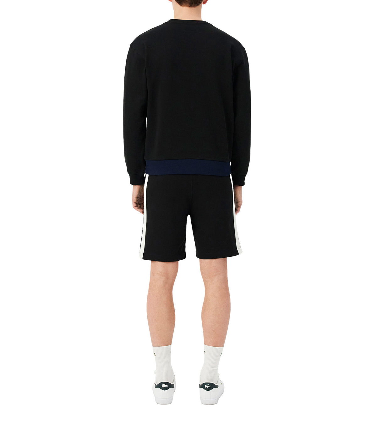 Regular Fit Color-Block Cotton Shorts Black/Navy Blue