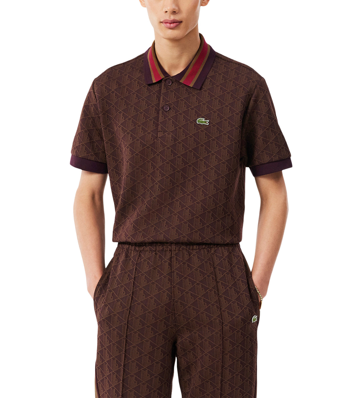 Classic Fit Contrast Collar Monogram Motif Polo Shirt Brown