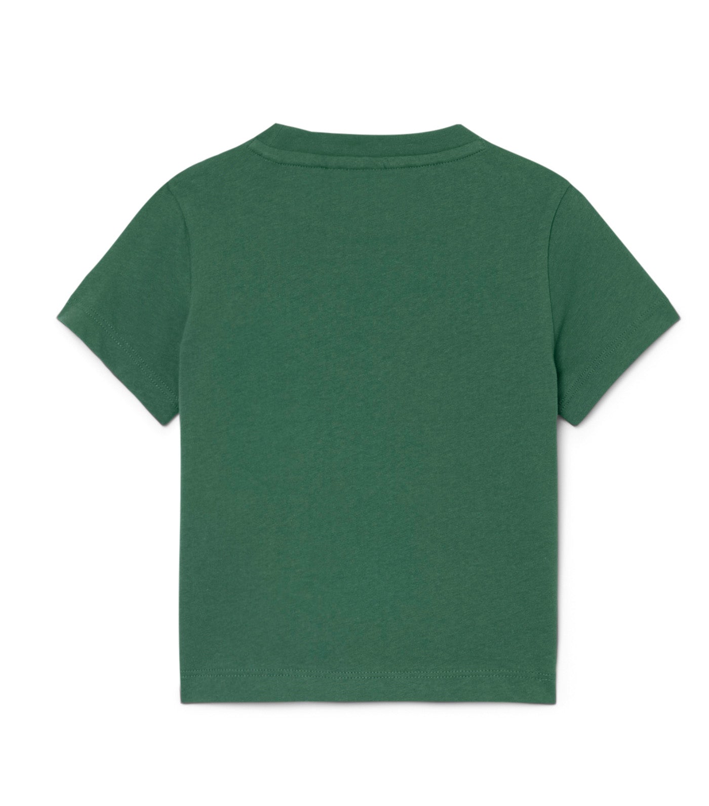 Unisex Cotton Crew Neck T-Shirt Green