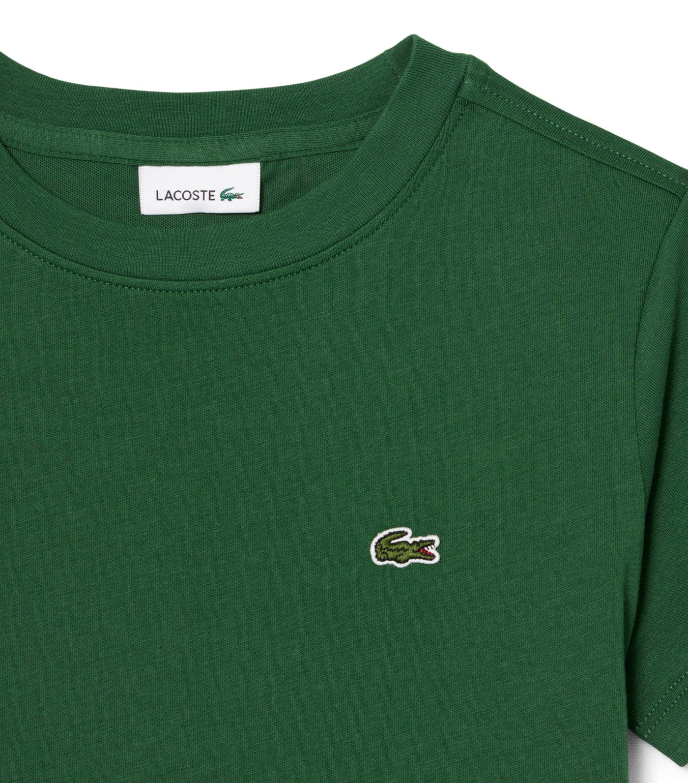 Unisex Cotton Crew Neck T-Shirt Green