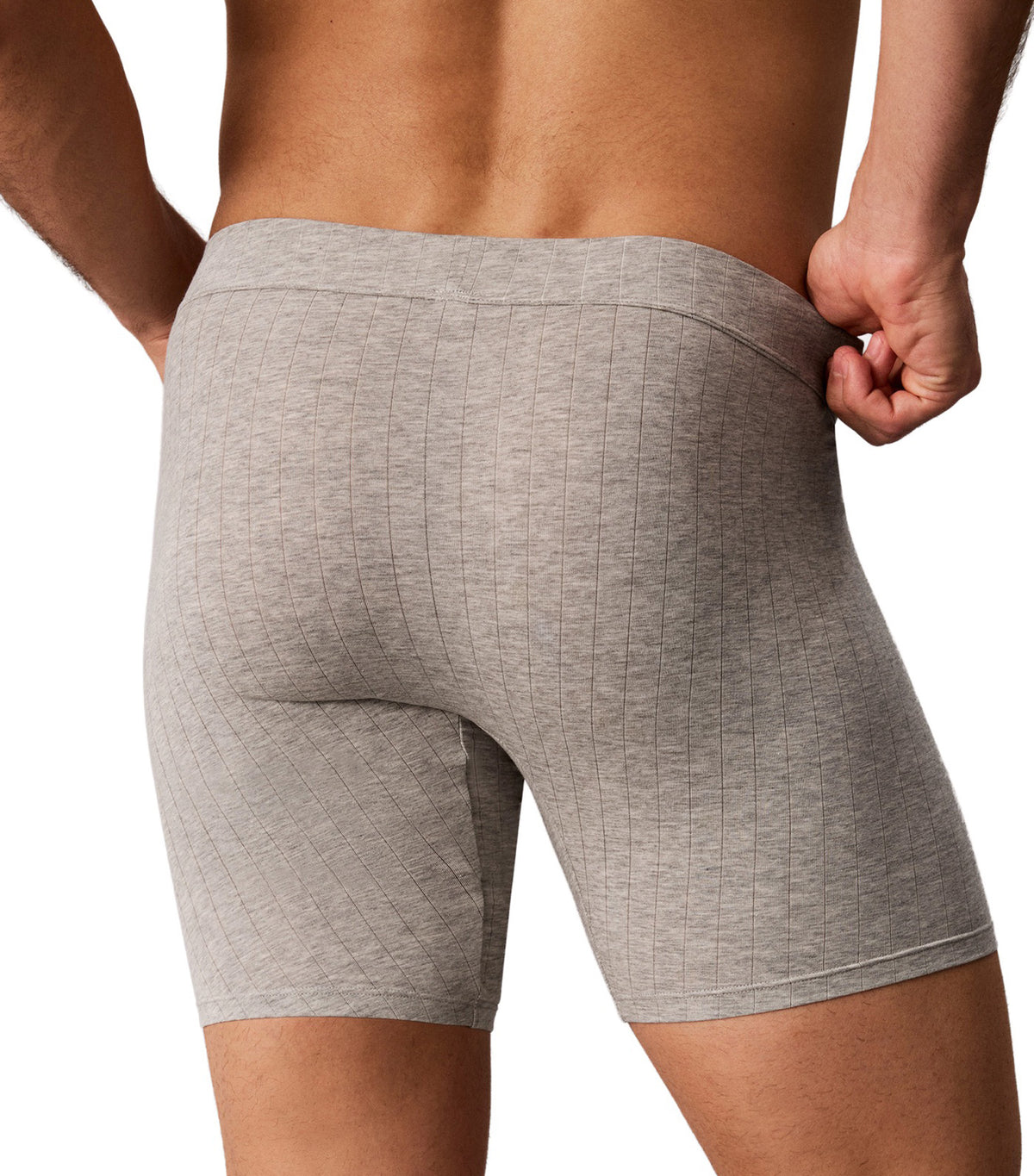 Trunk Gray Heather