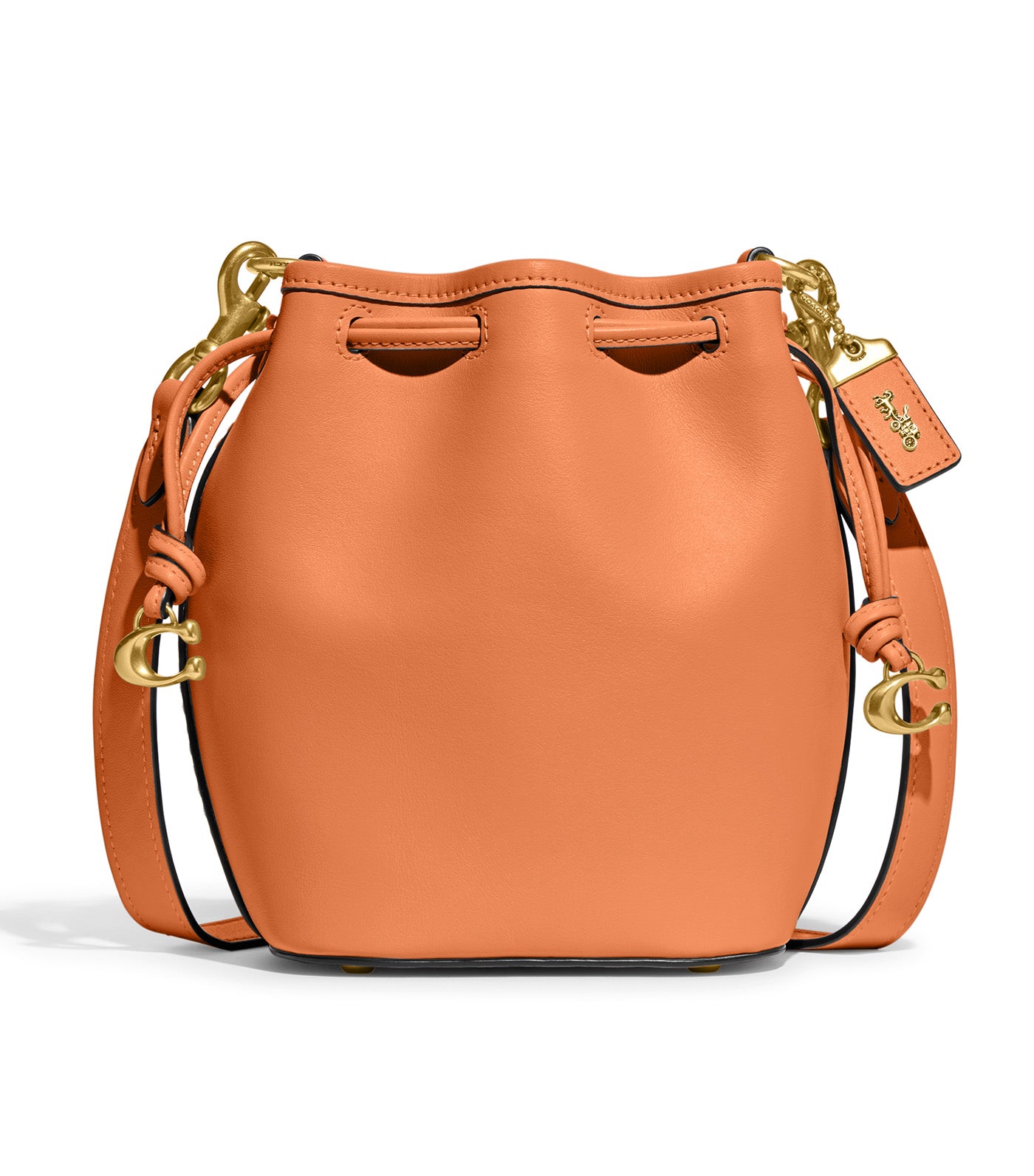 Ultimate Guide to the Coach Camila Bucket Bag