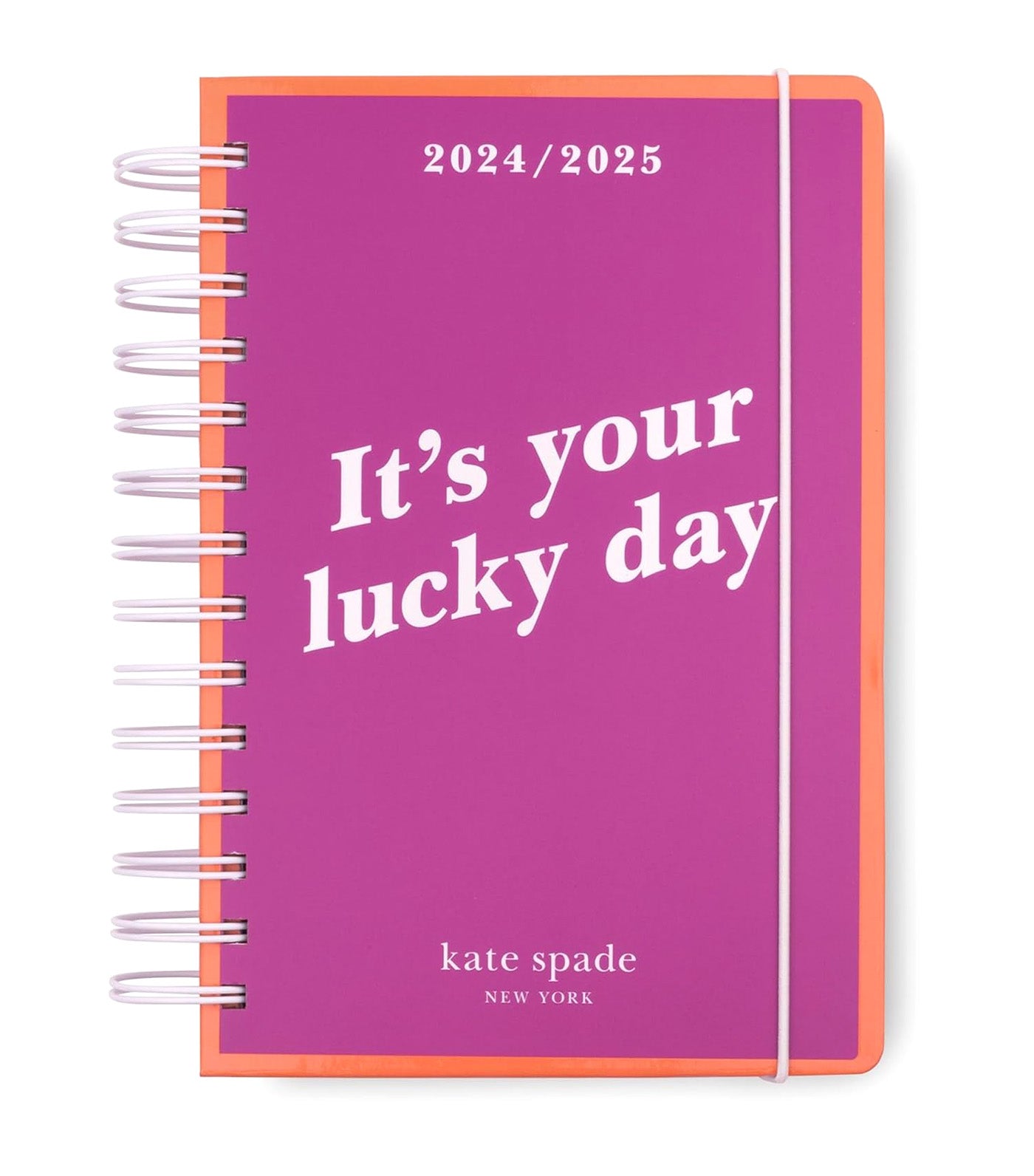It's Your Lucky Day 2024-25 17-Month Medium Planner Pink