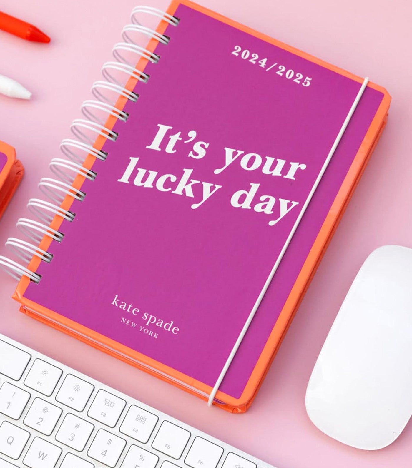 It's Your Lucky Day 2024-25 17-Month Medium Planner Pink