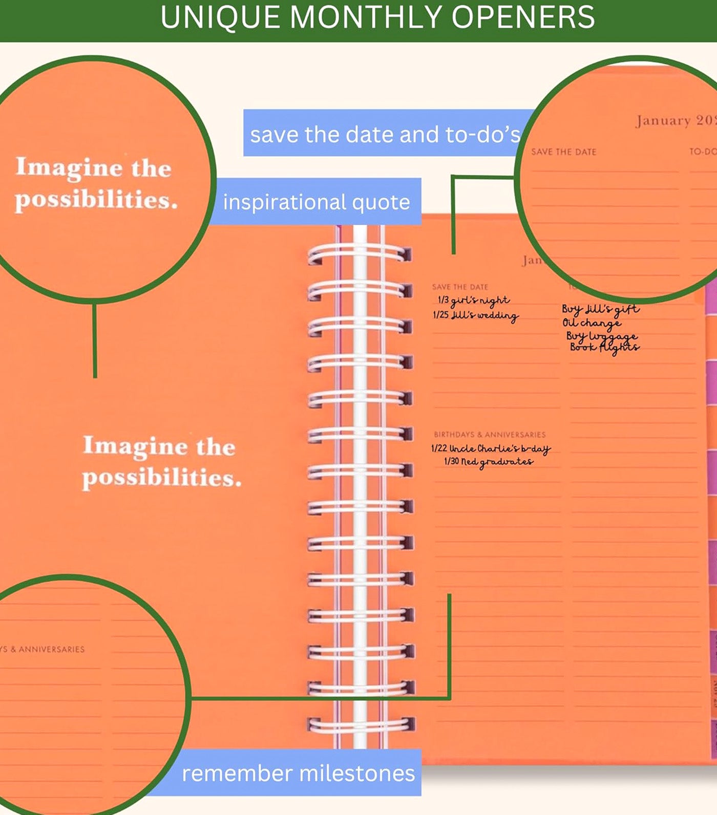 It's Your Lucky Day 2024-25 17-Month Medium Planner Pink