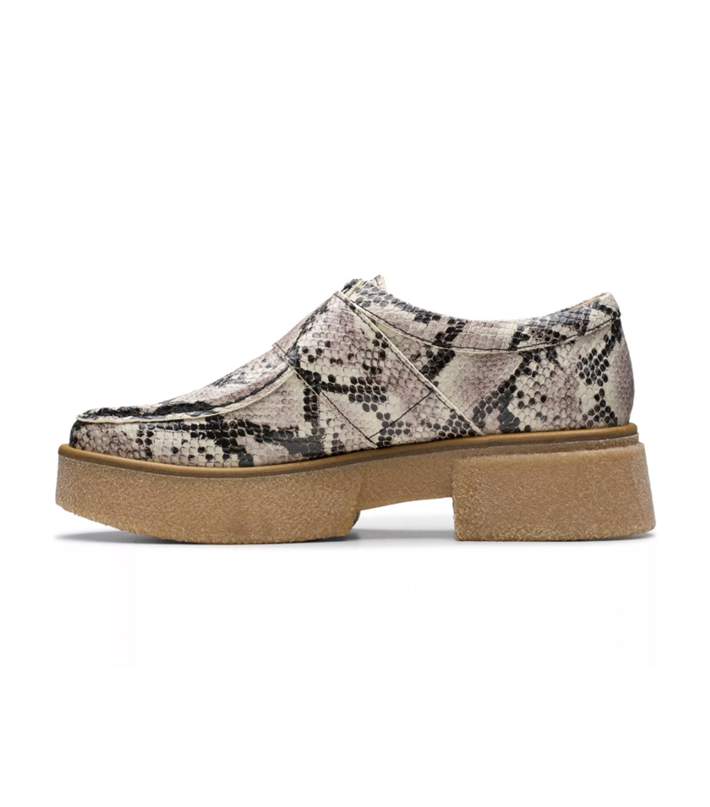 Linoso Monk Gray Snake