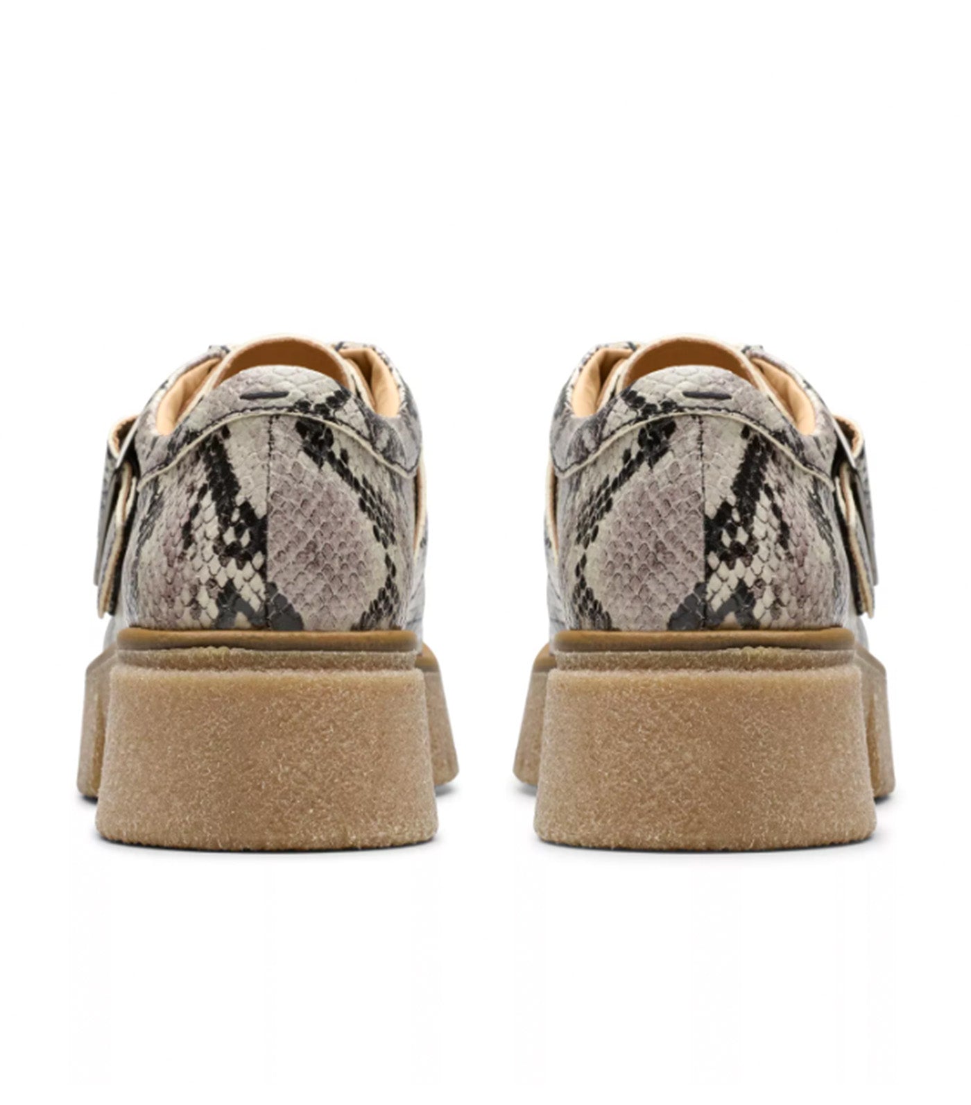 Linoso Monk Gray Snake