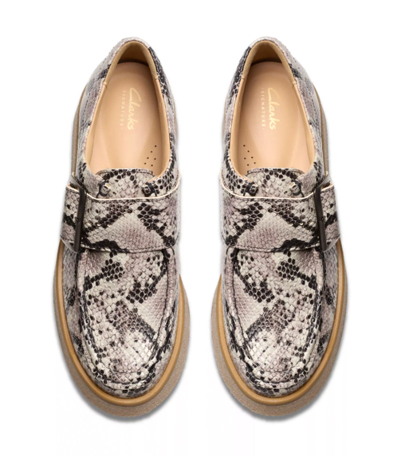 Linoso Monk Gray Snake