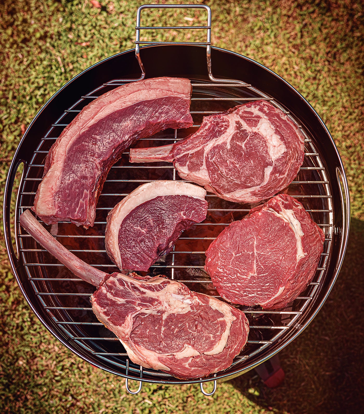 Charcoal BBQ Grill Stainless Steel Body