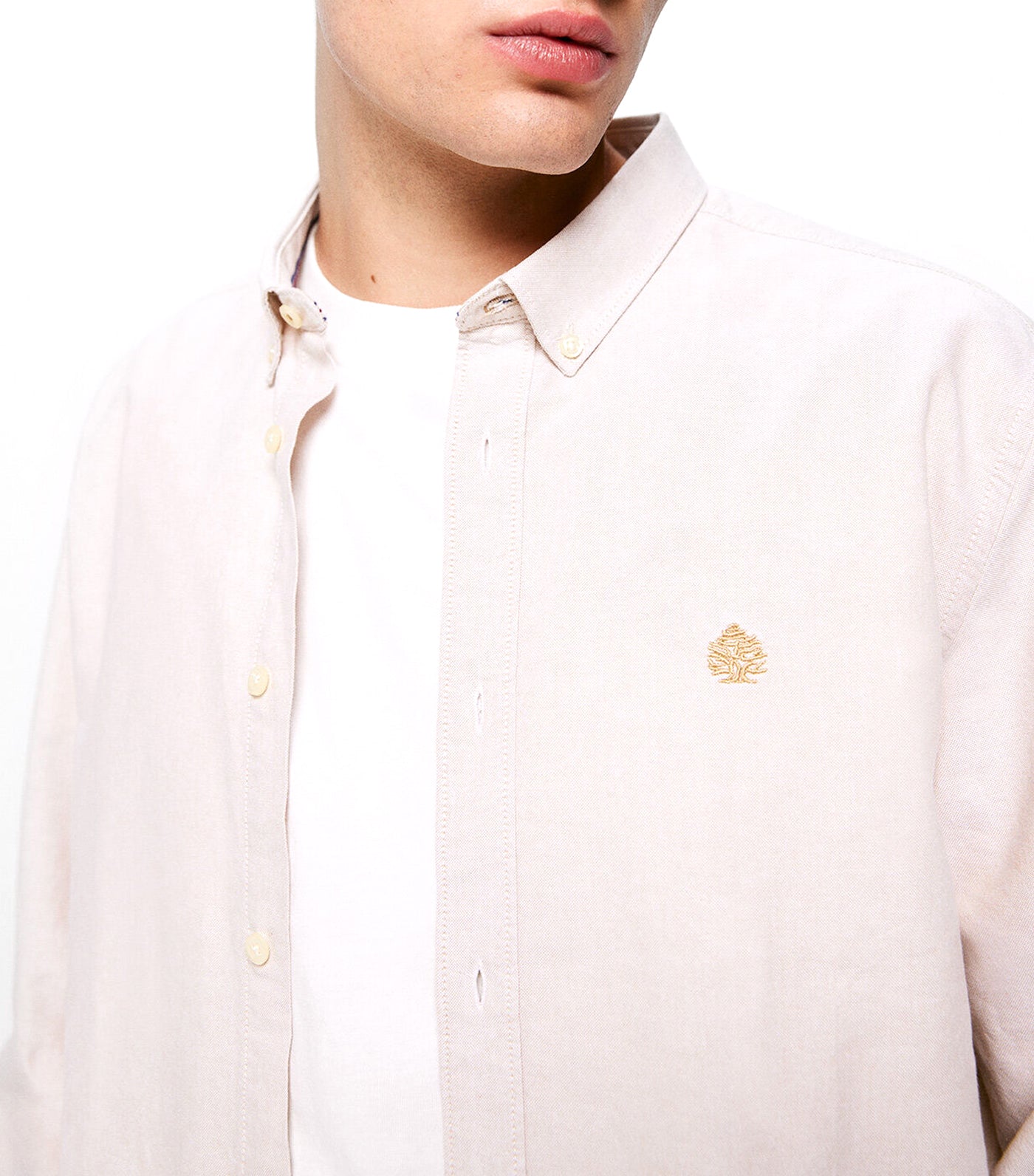 Colored Oxford Shirt Beige