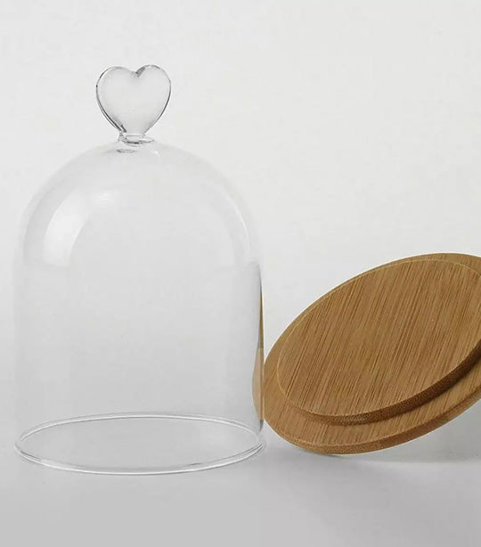 Sugarplum Laila Glass Cloche with Bamboo Base