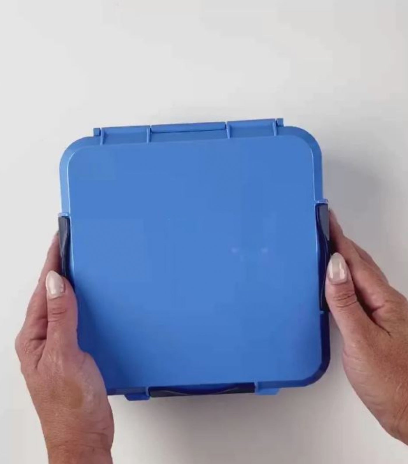 Yumbox Little Lunch Box Co Bento Three+ Blueberry