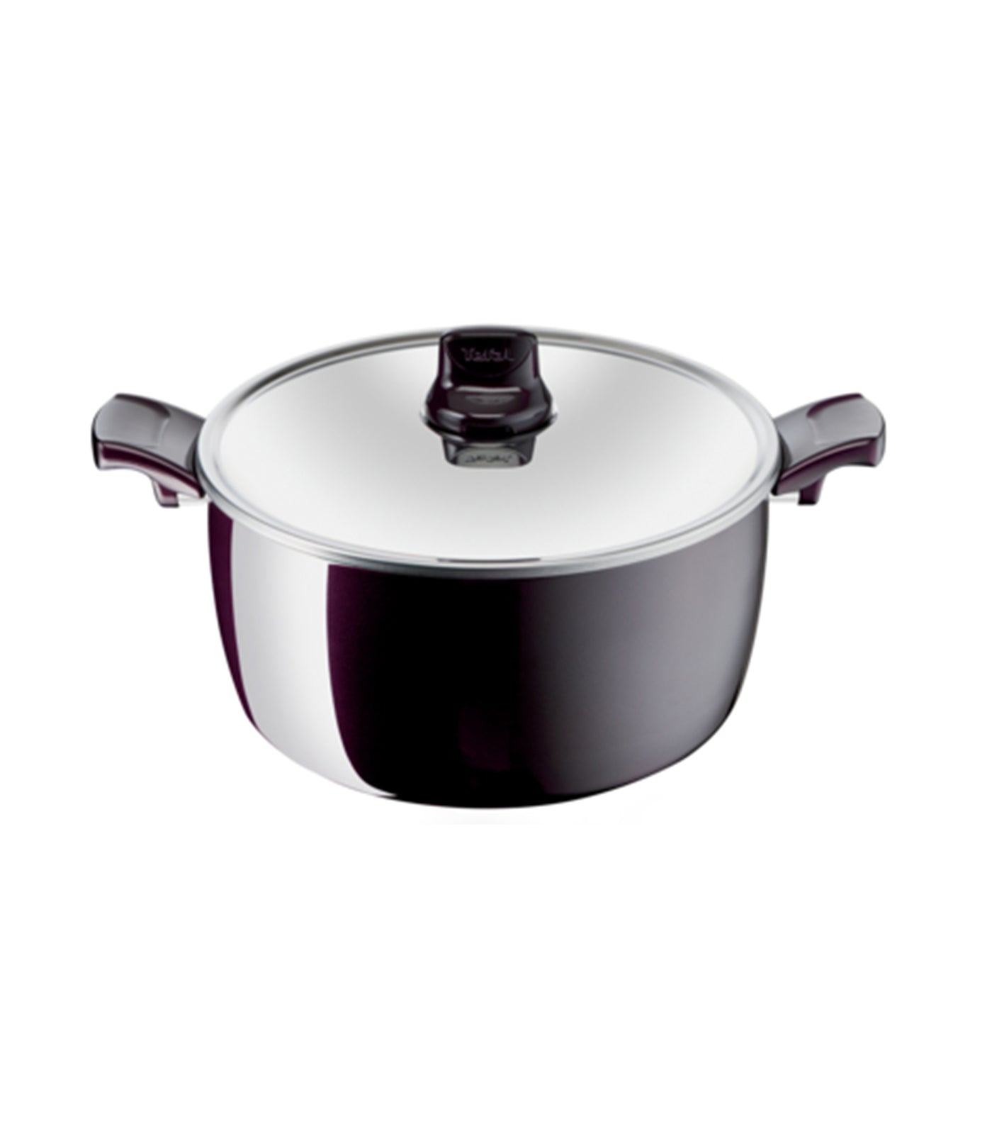Tefal Resist Intense Stewpot with Lid - 30cm