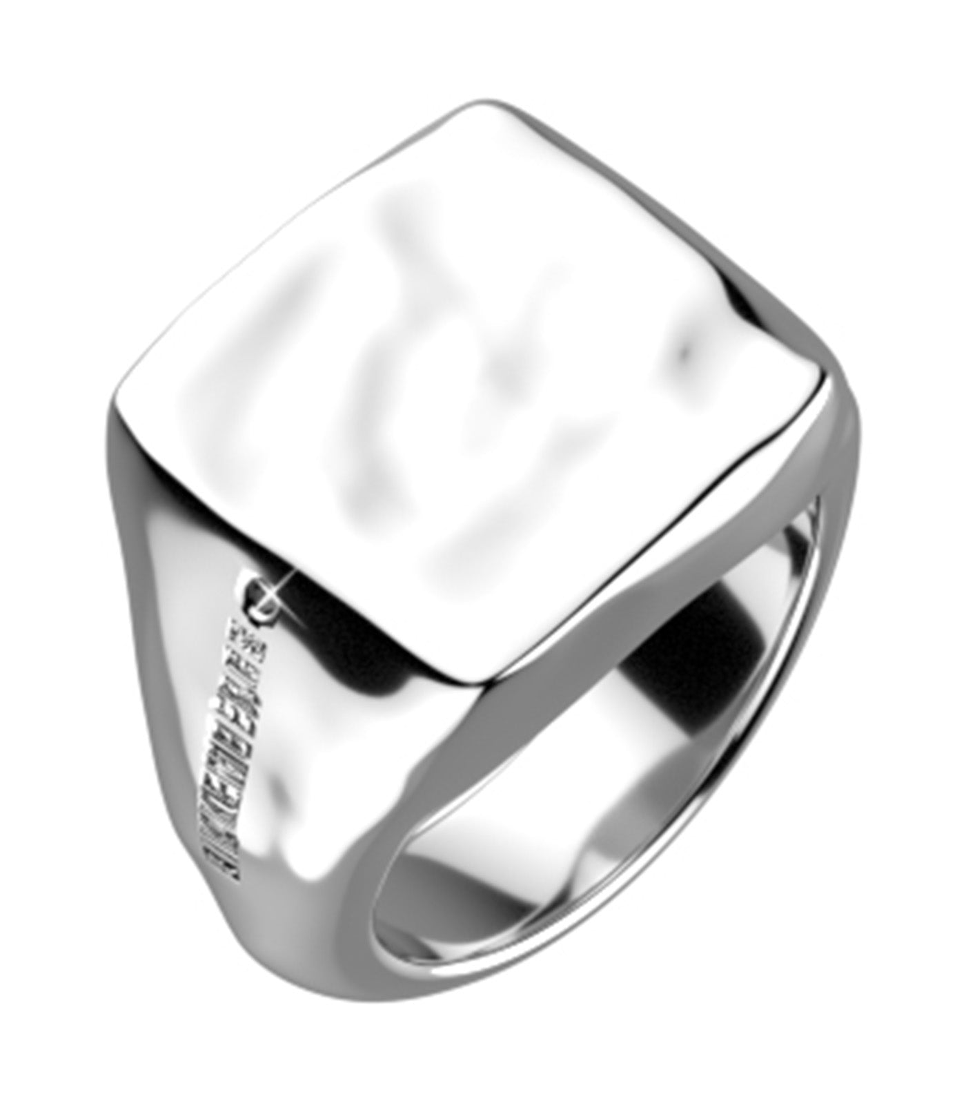 Chevalier Steel Ring Silver