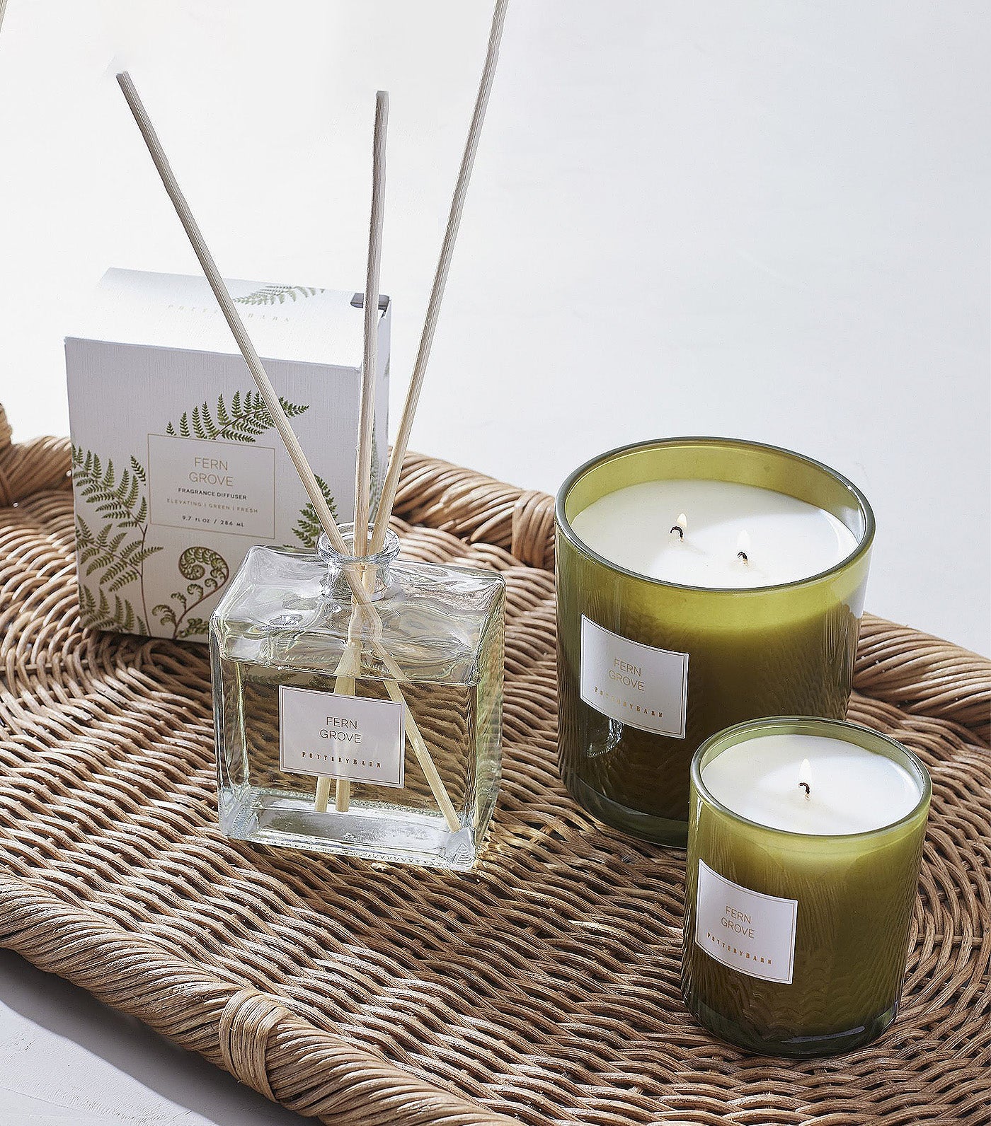 Pottery Barn Fern Grove Diffuser