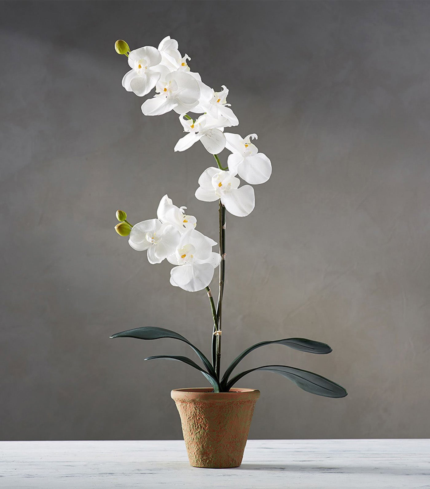 Pottery Barn Faux Orchid