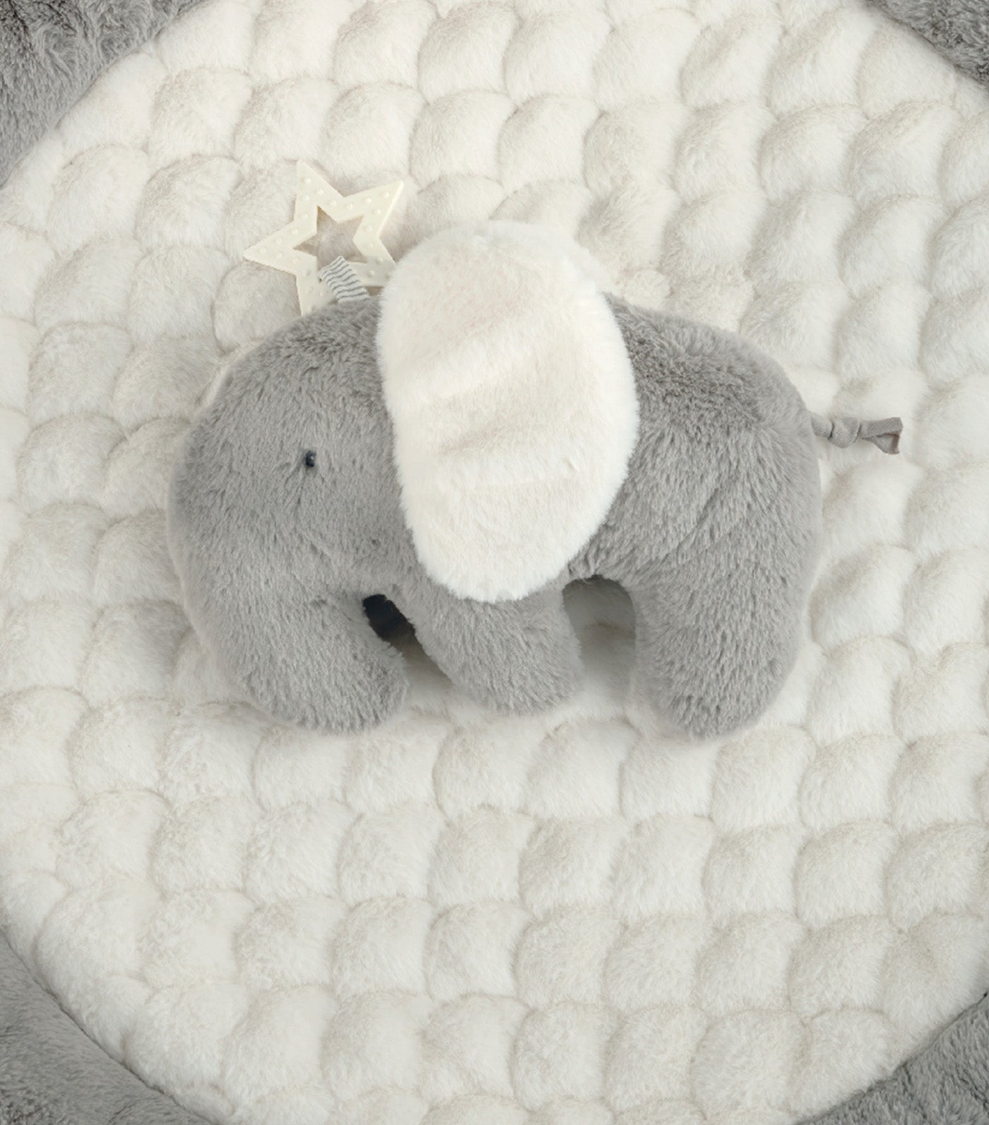 Welcome to the World Elephant