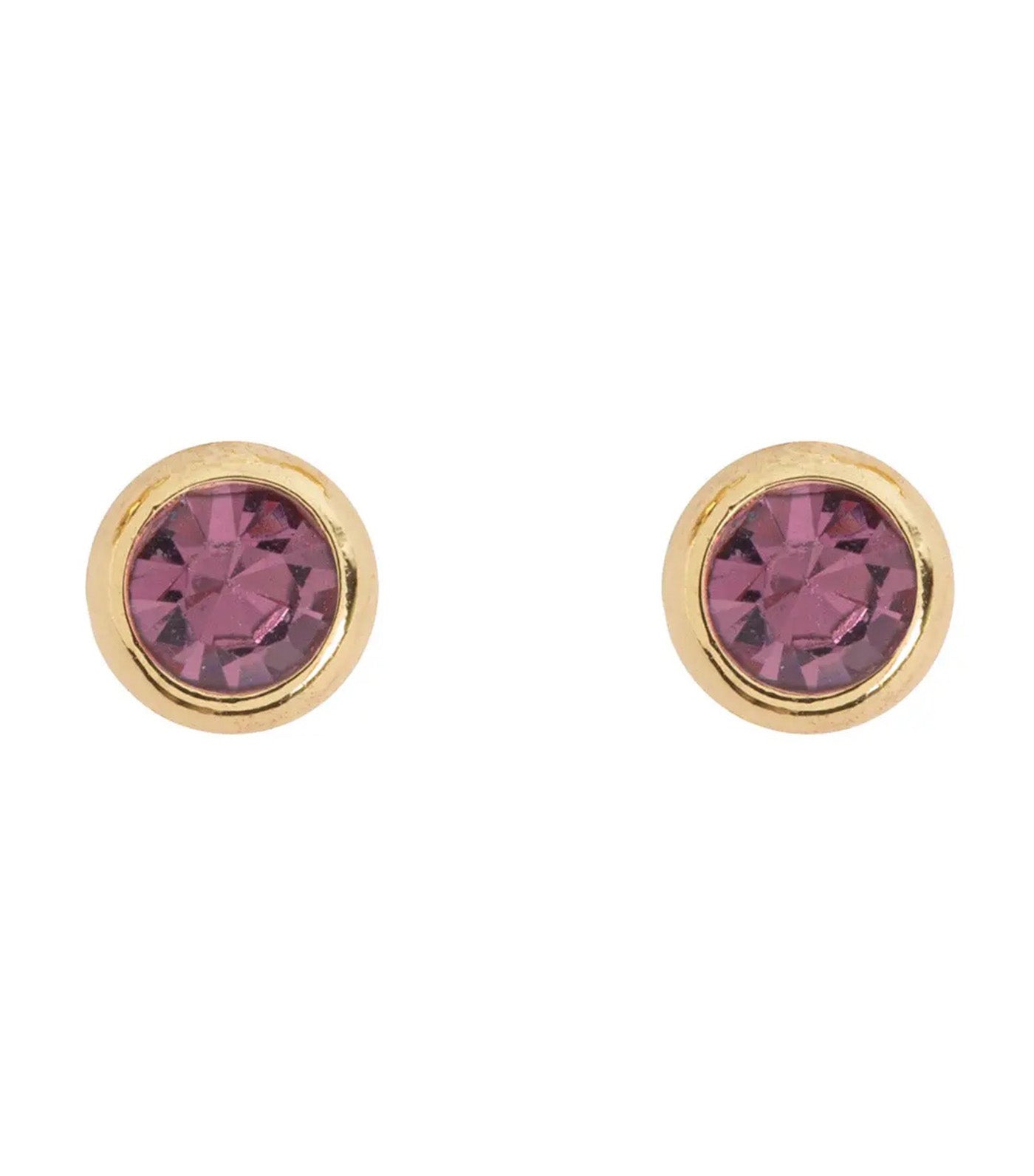 Amelia Crystal Mini Stud Earrings Purple