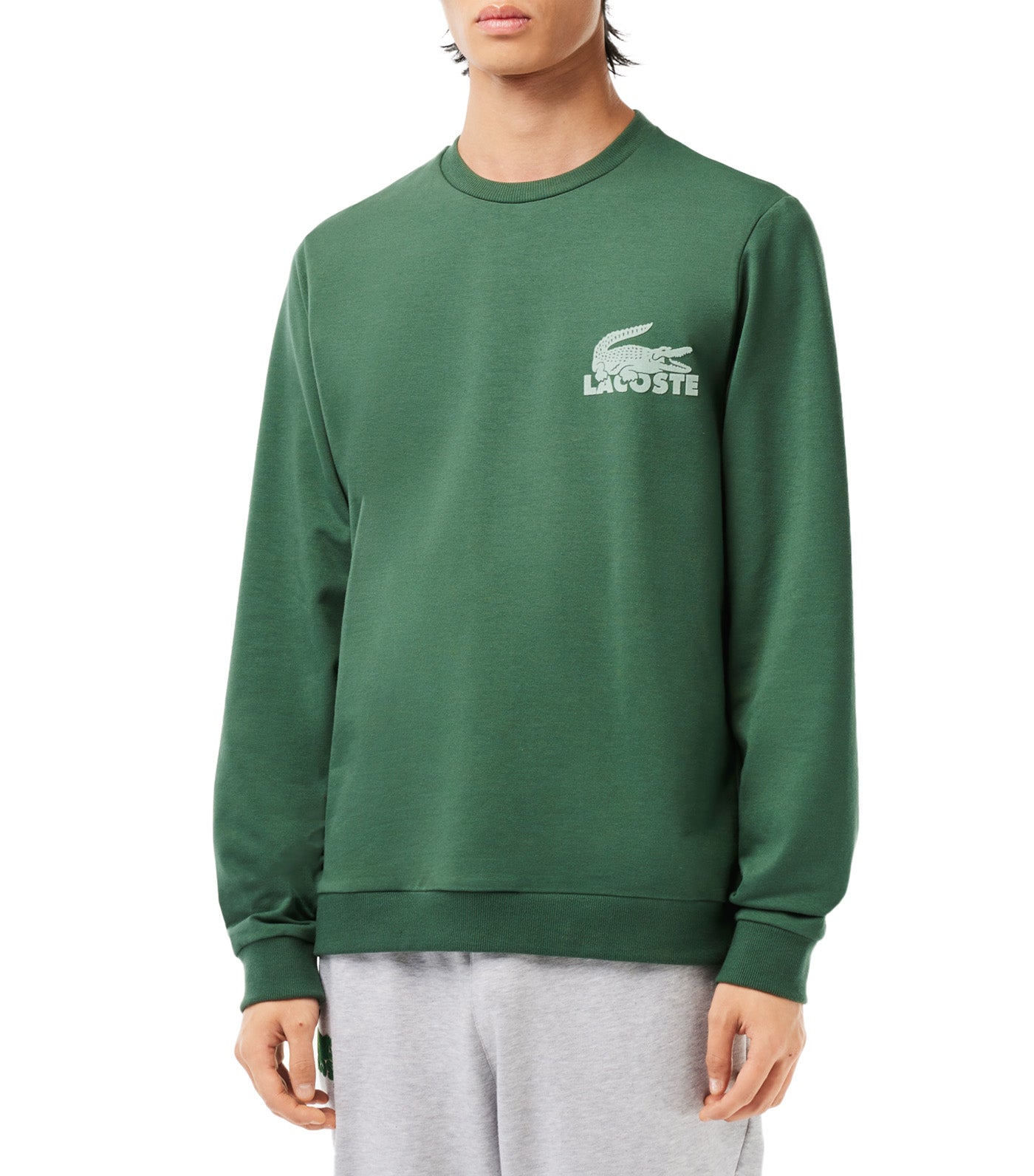 Men's Cotton Fleece Indoor Sweatshirt Sequoia/Arielle Green