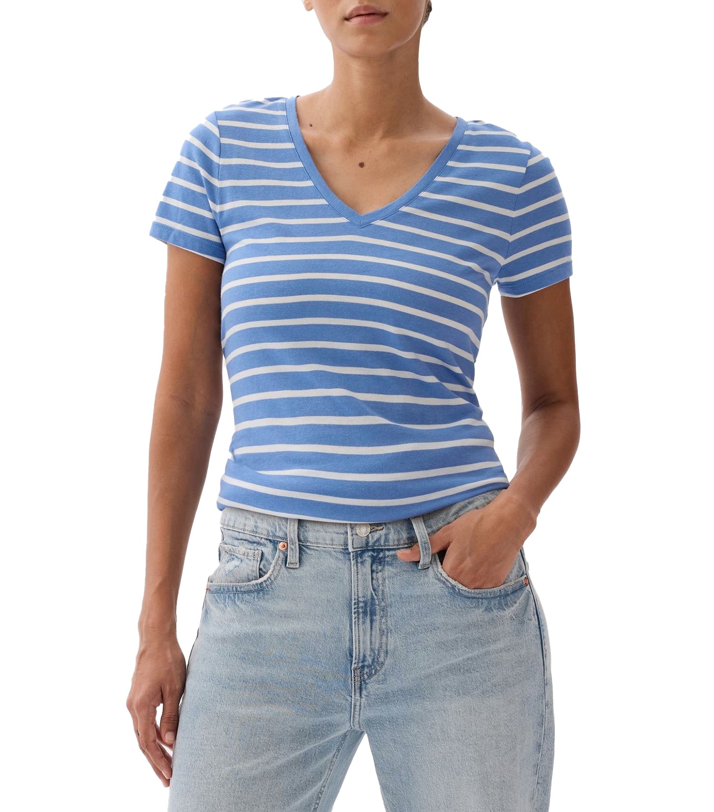 Favorite V-Neck T-Shirt Blue Stripe
