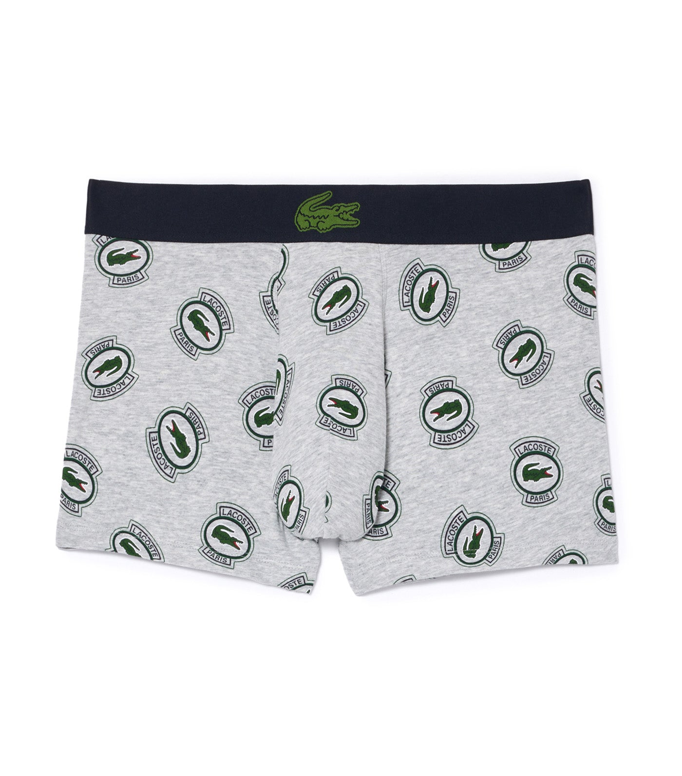 Stretch Jersey Print Trunks Silver Chine/Multicolor