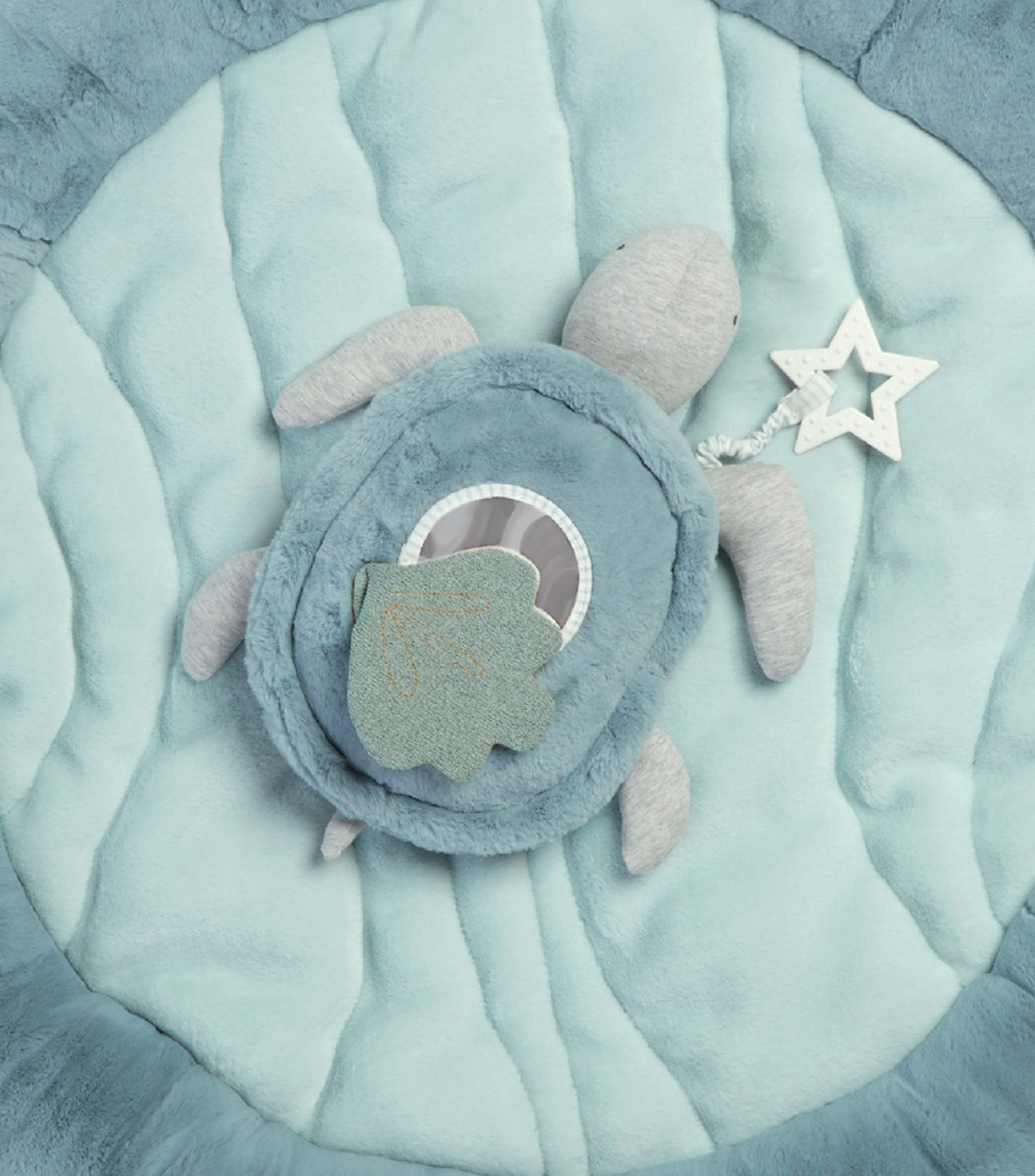 Welcome to the World Under the Sea