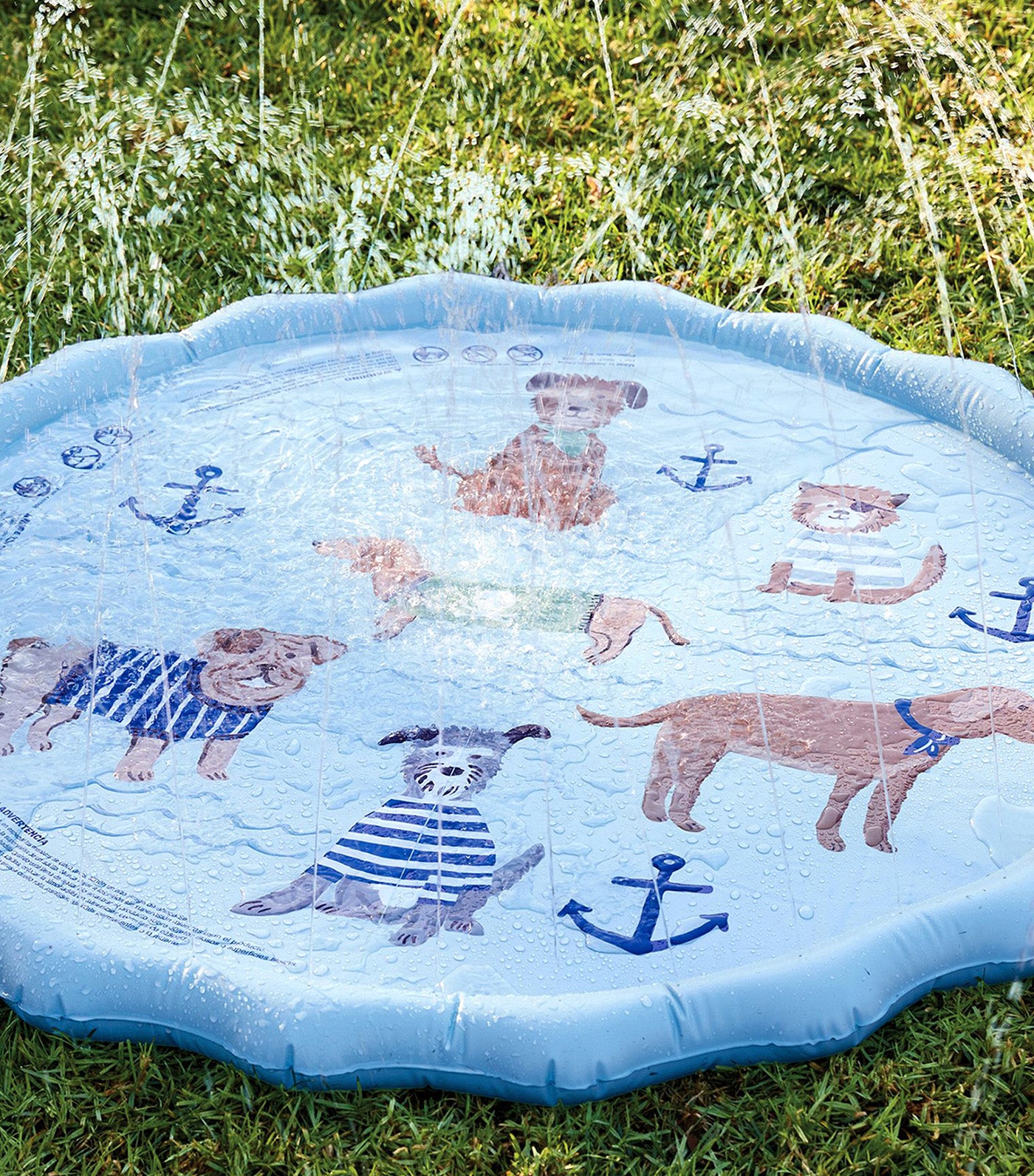 Salty Dogs Splash Pad