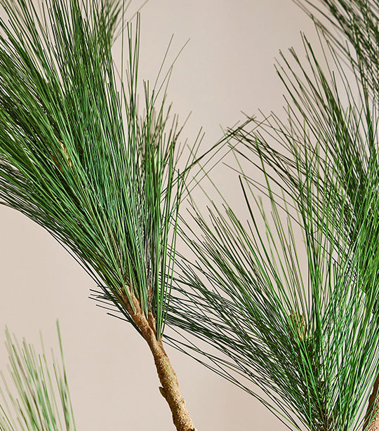 Faux Long Needle Pine Branch