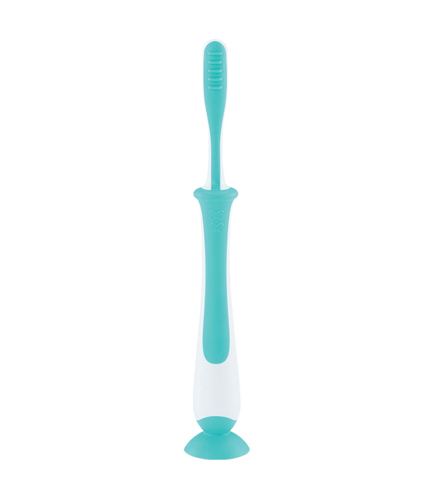 Lesson 4 Toothbrush Mint