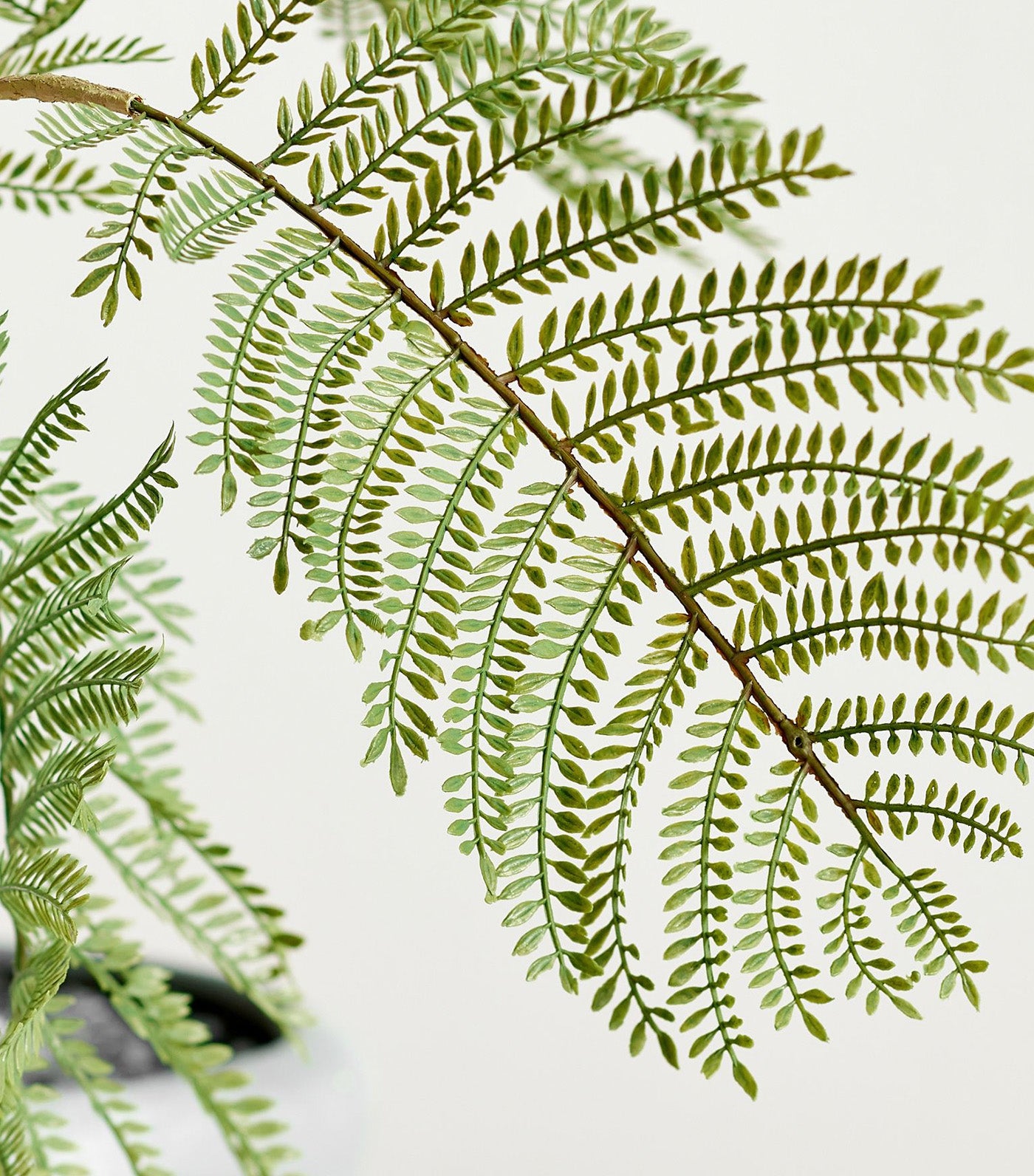 Faux Potted Gray Fern