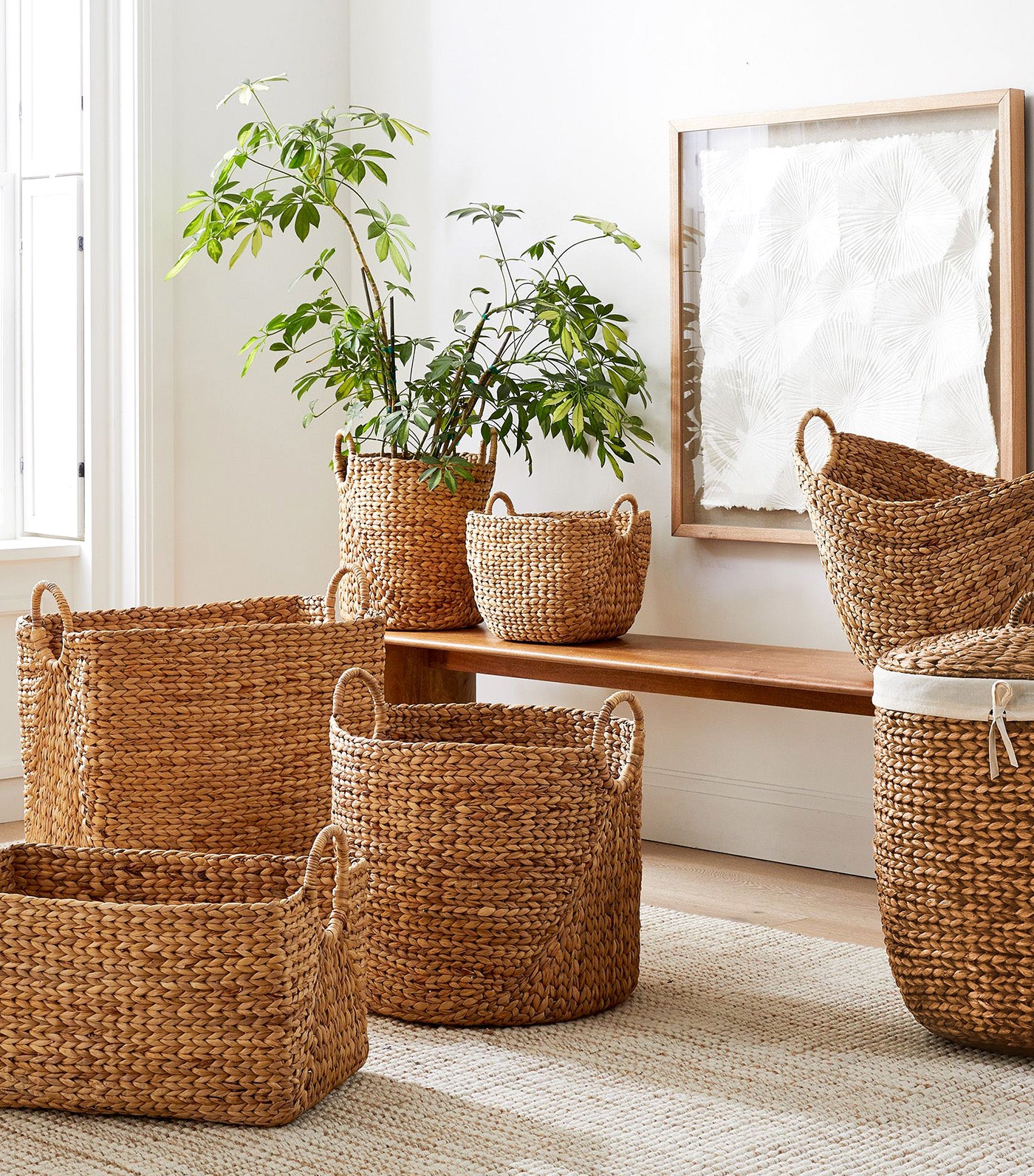 Curved Seagrass Baskets Natural