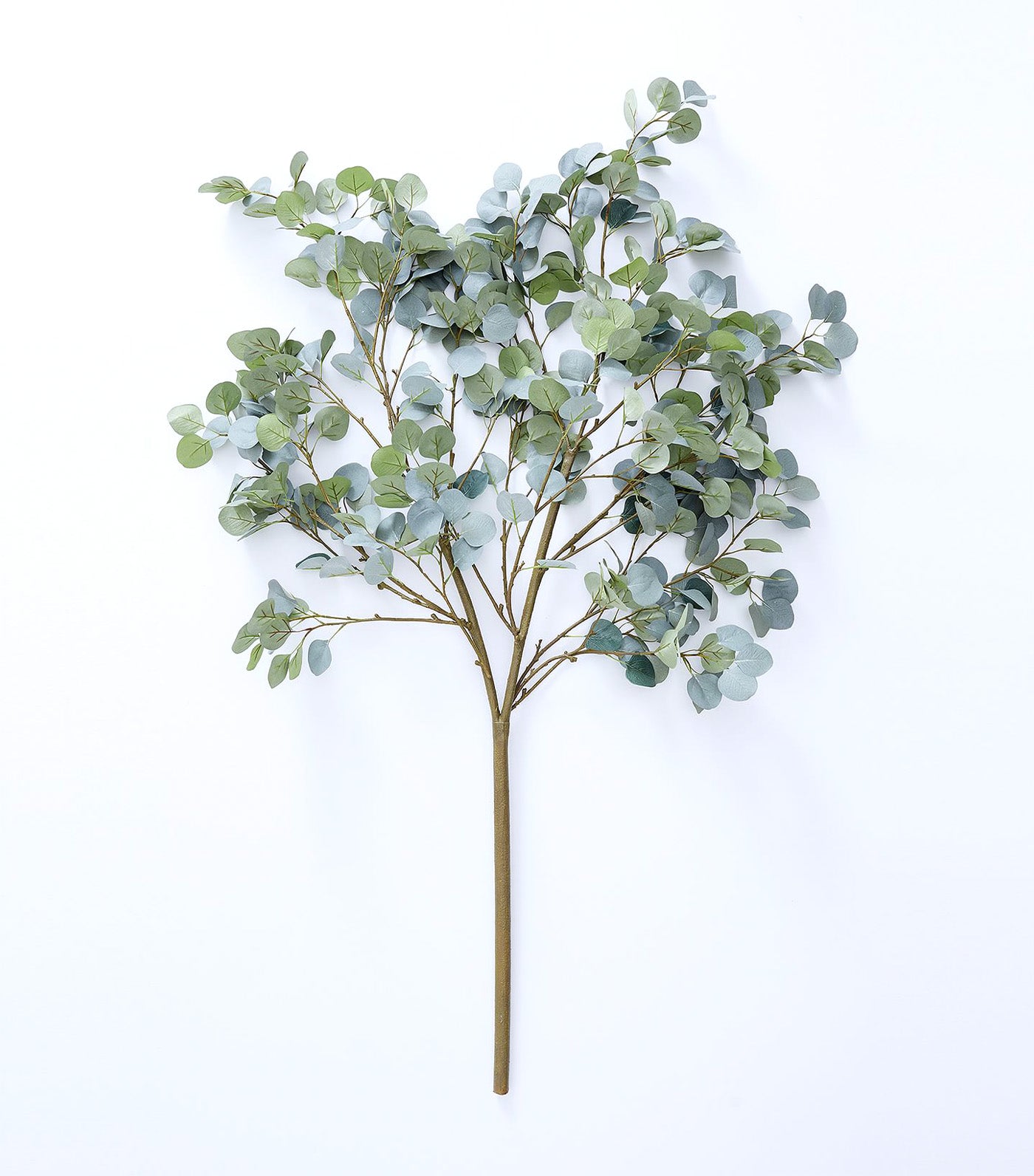 Faux Oversized Silver Dollar Eucalyptus Branch Green - One Size