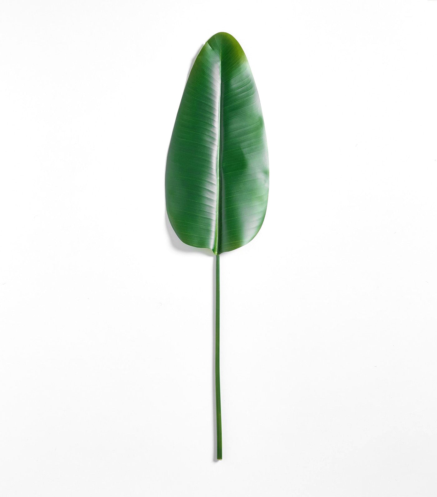 Banana Palm Branch Green - One Size