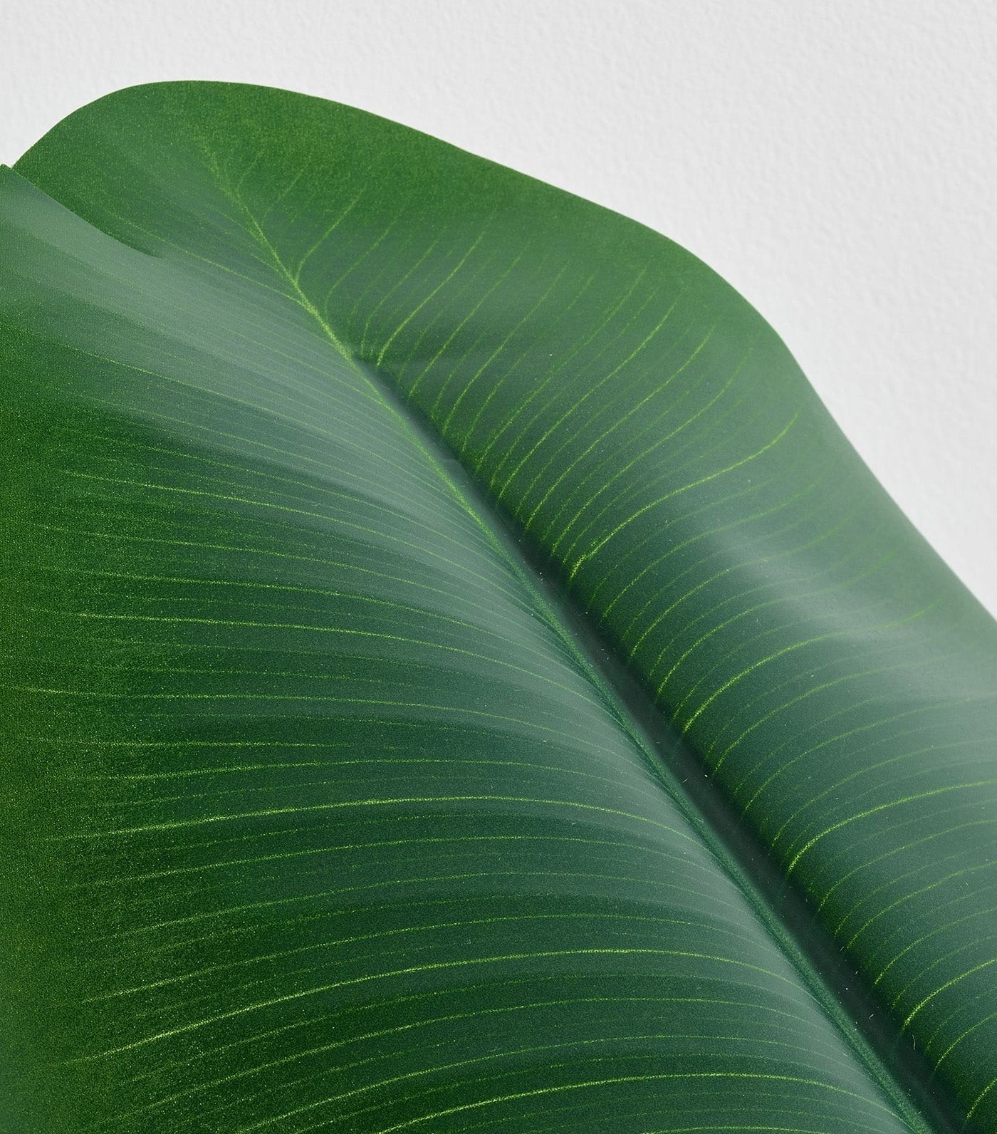 Banana Palm Branch Green - One Size