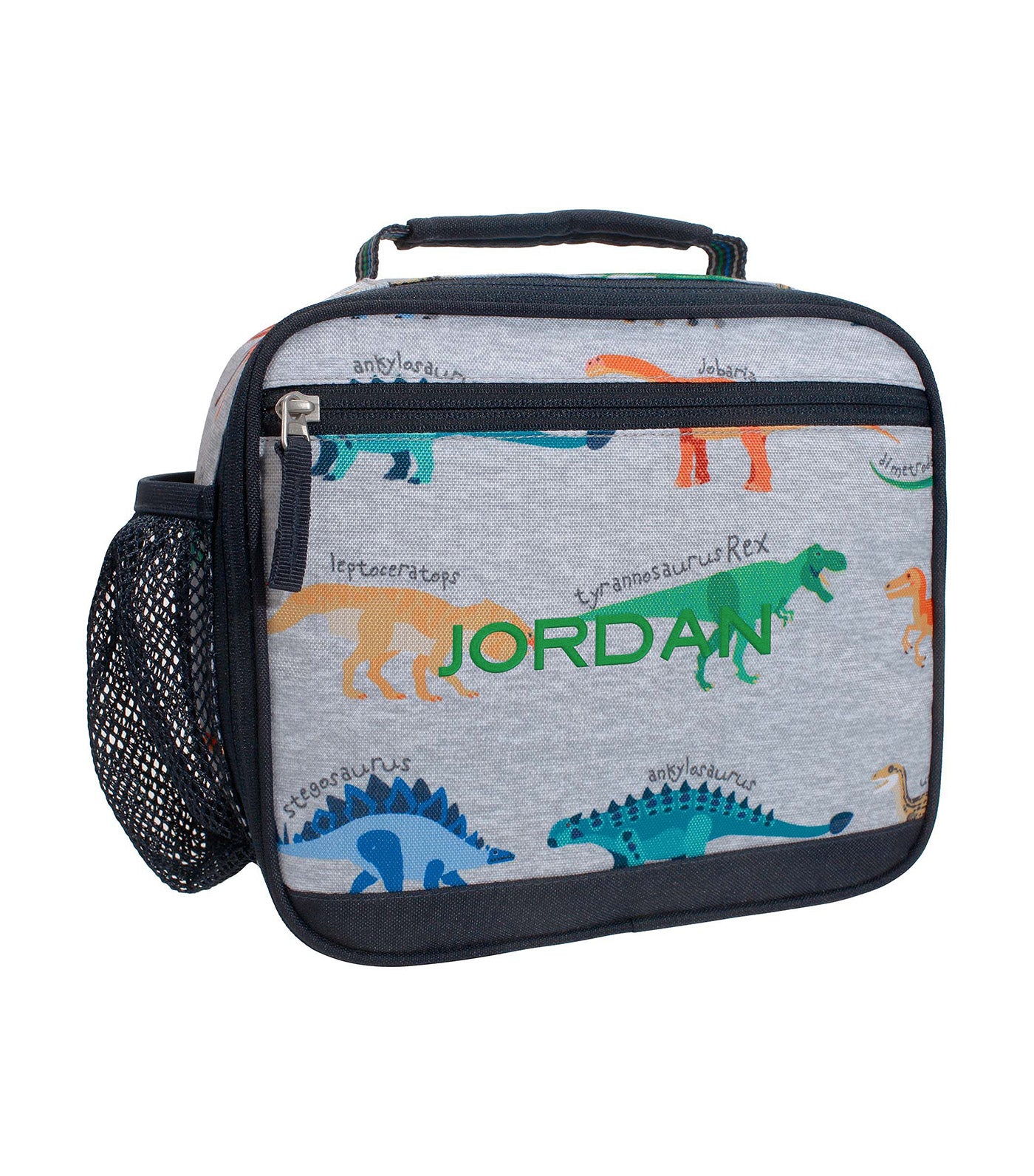 Mackenzie Finn Dino Lunch Boxes