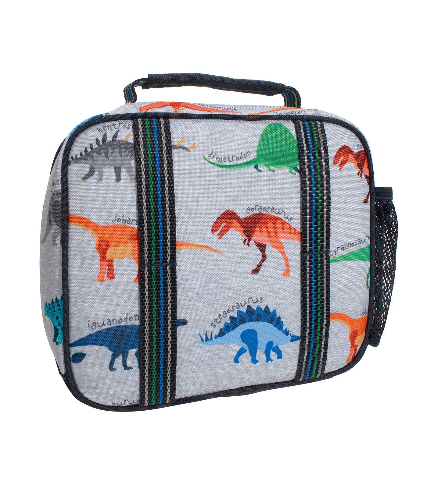 Mackenzie Finn Dino Lunch Boxes