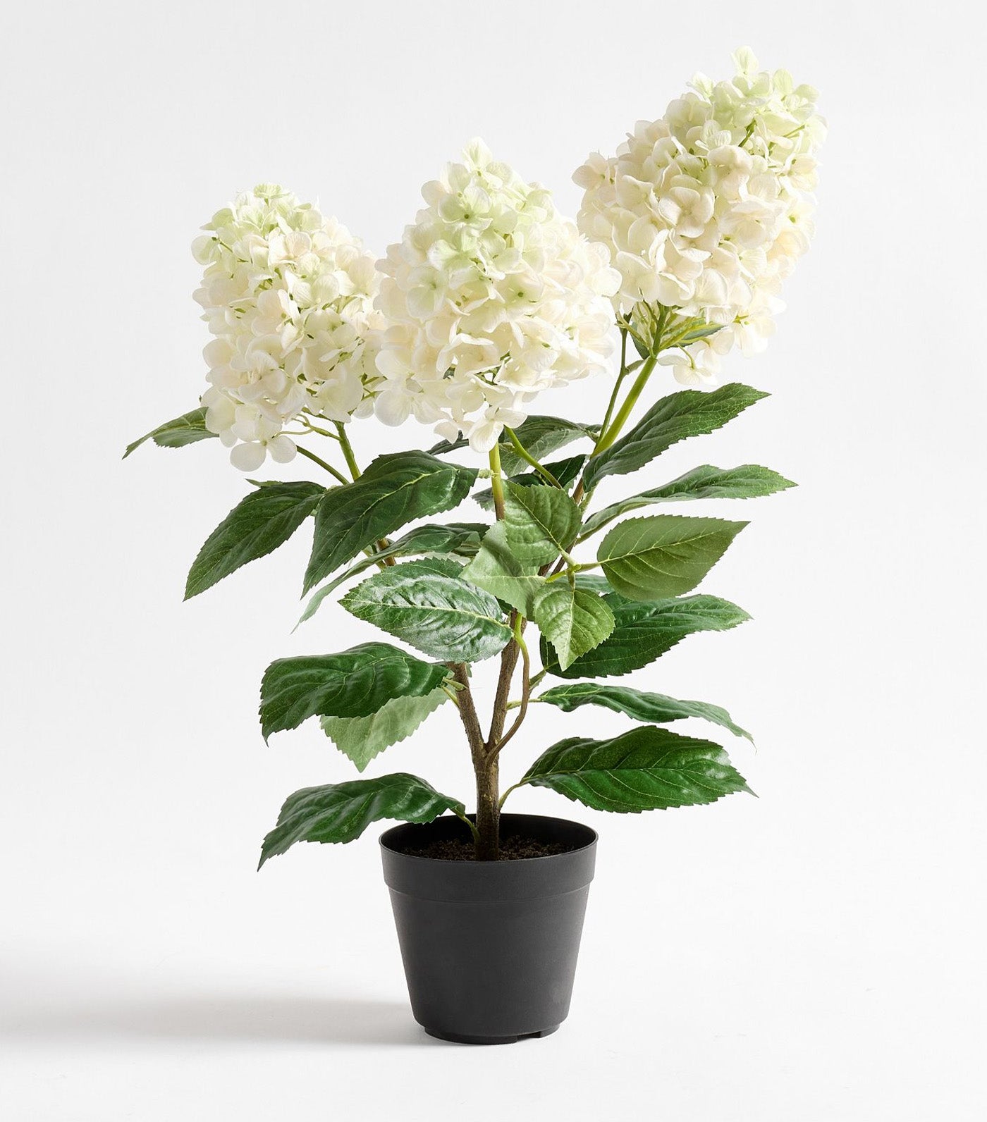 Faux Potted White Cone Hydrangea