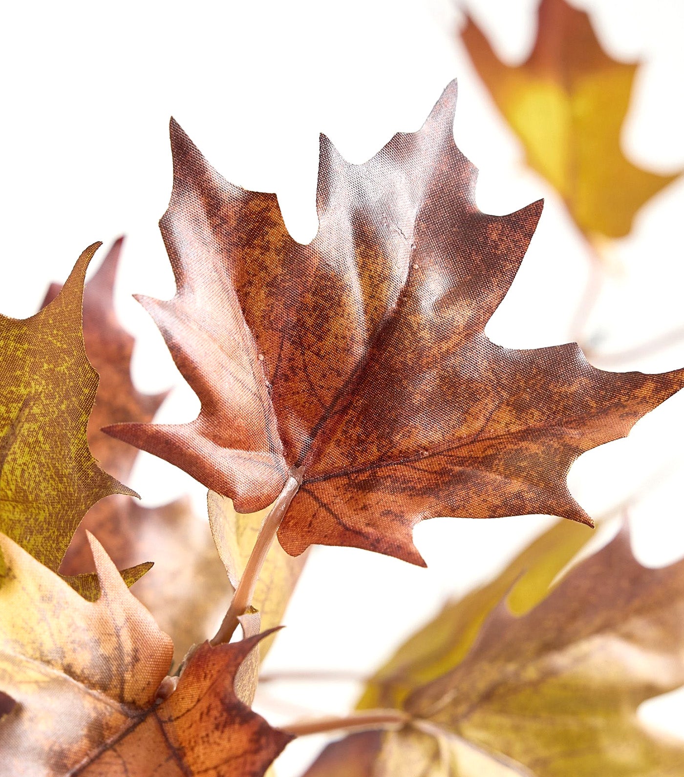 Faux Turning Maple Branch